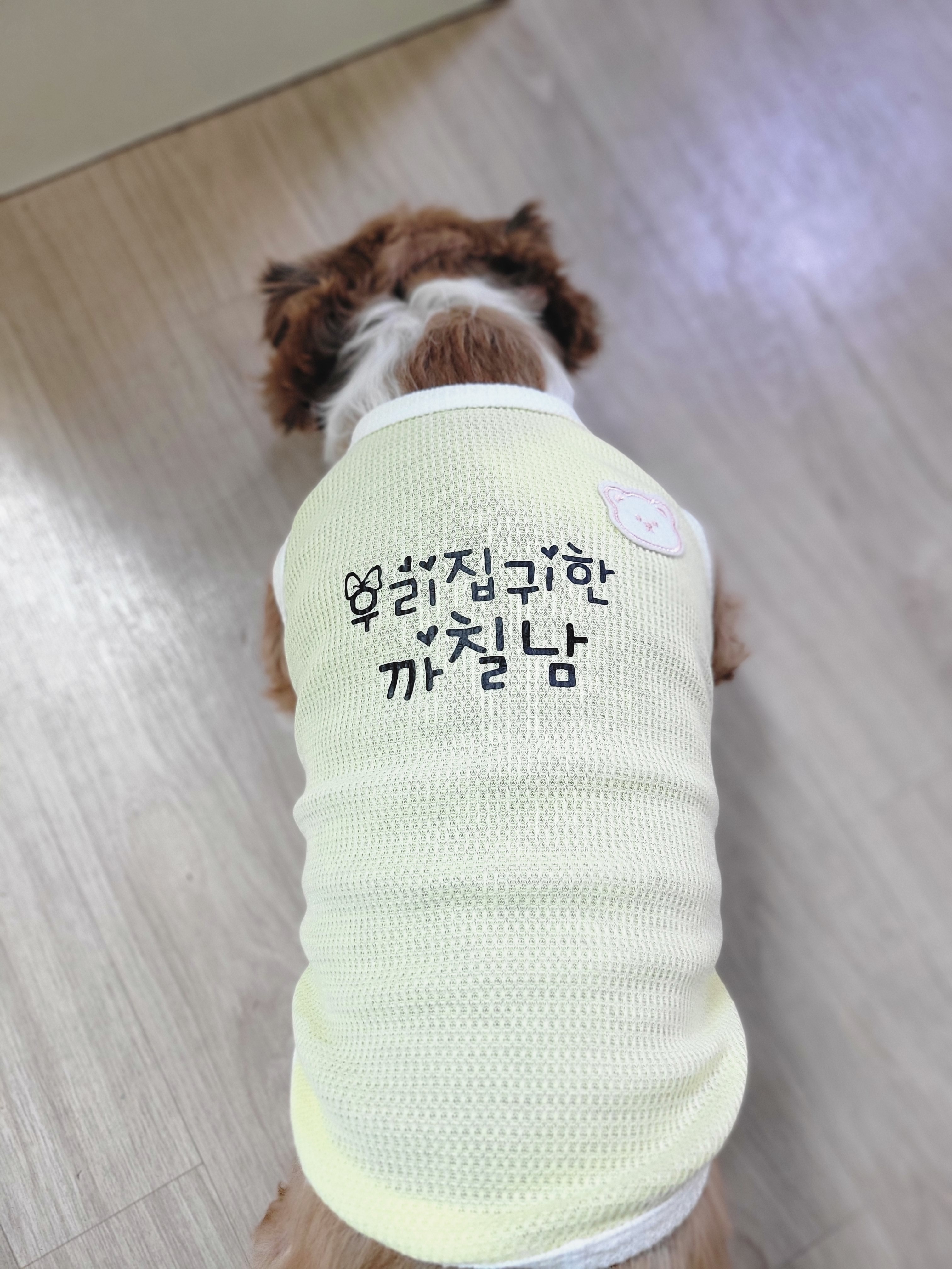 모먼트유디자인