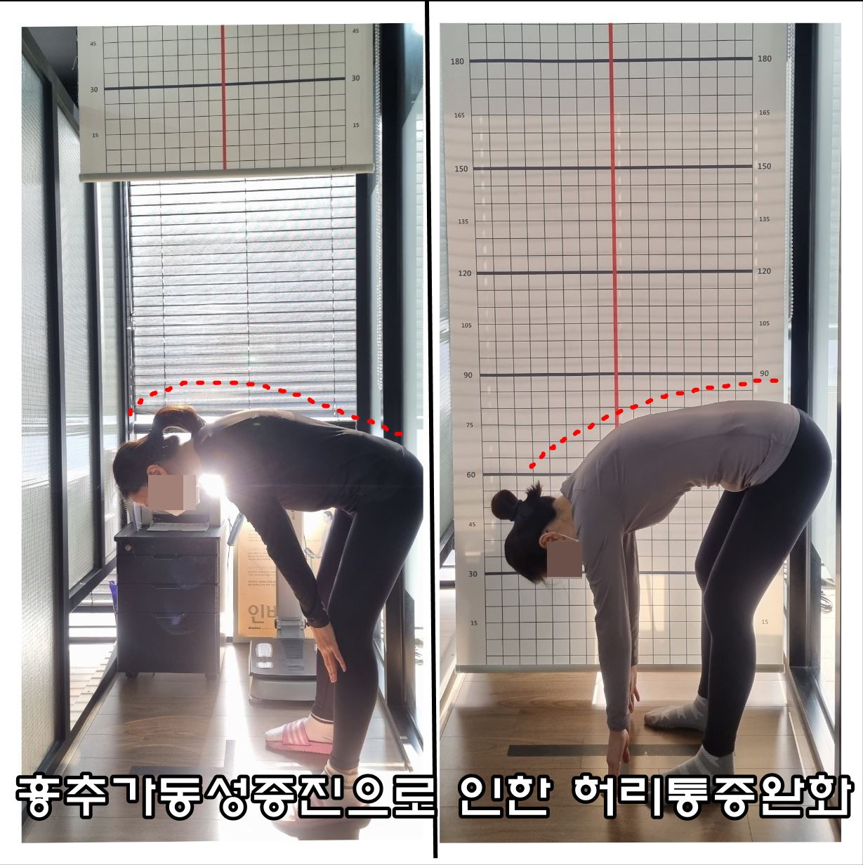 웰핏 대표 이미지