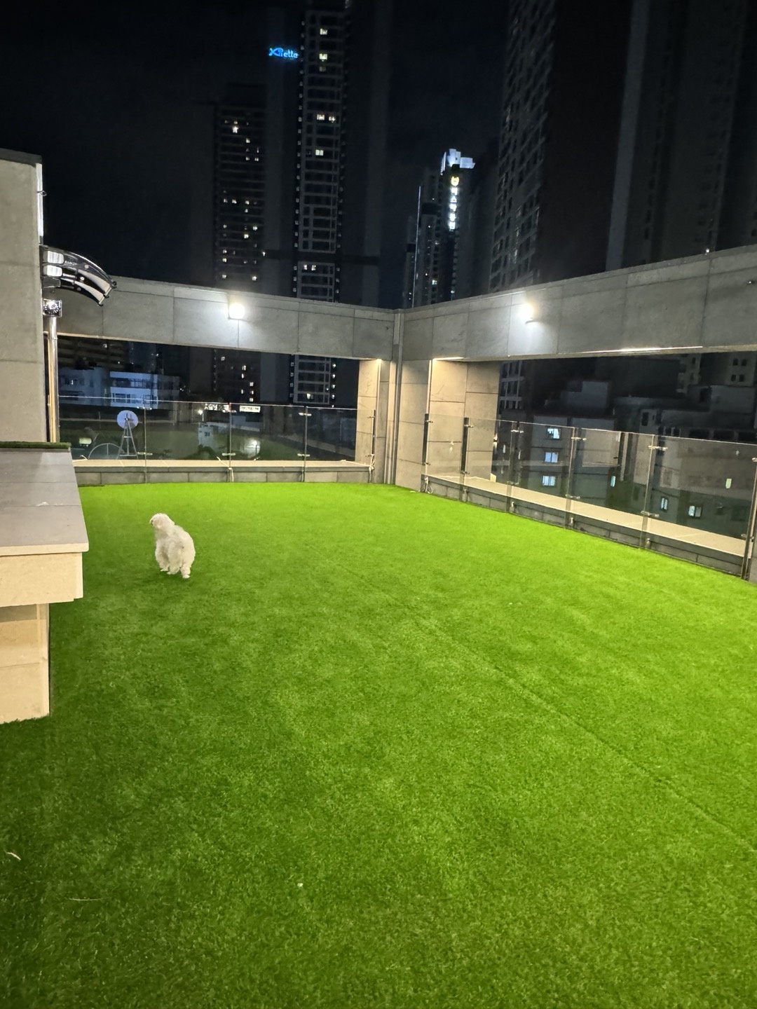 도토리강아지 유치원 대표 이미지