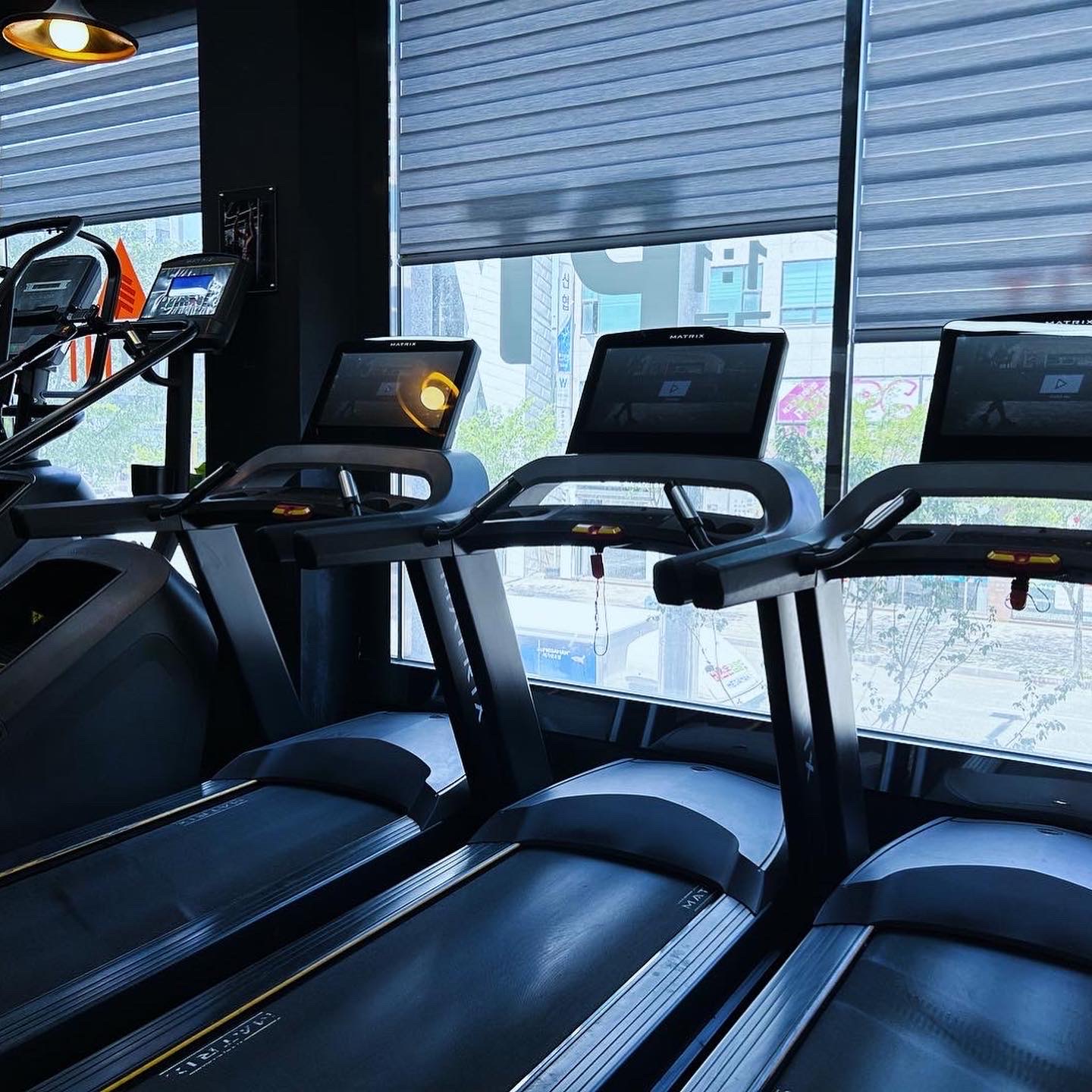 애니핏 대표 이미지