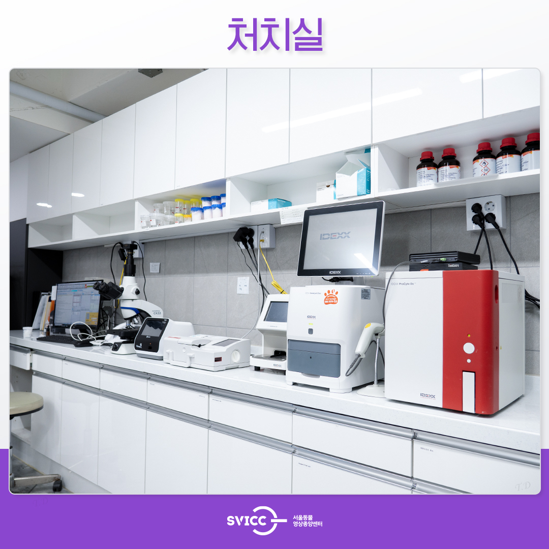 서울동물영상종양센터 대표 이미지