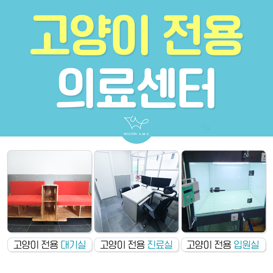 웰튼동물의료센터 대표 이미지