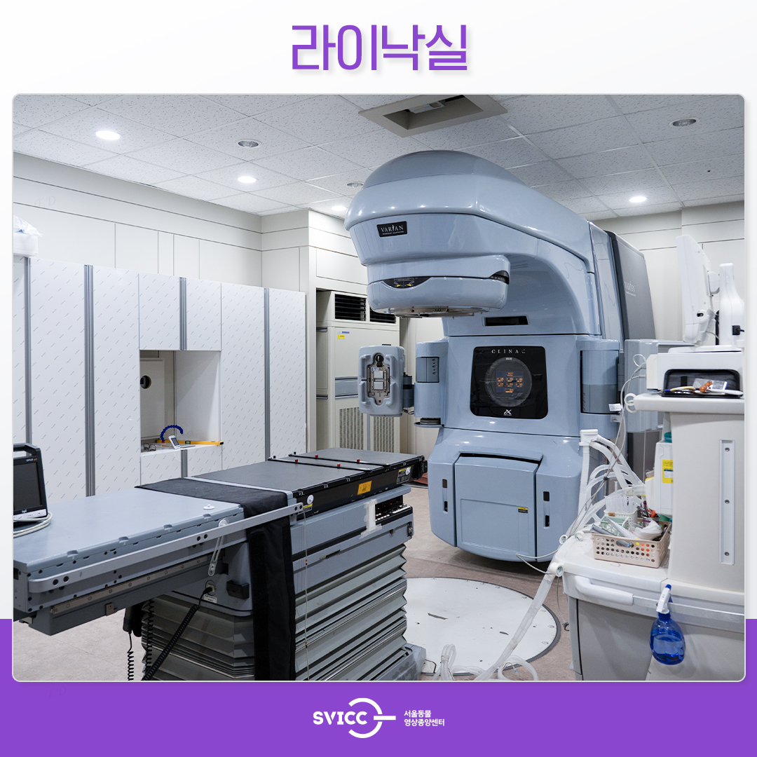 서울동물영상종양센터 대표 이미지