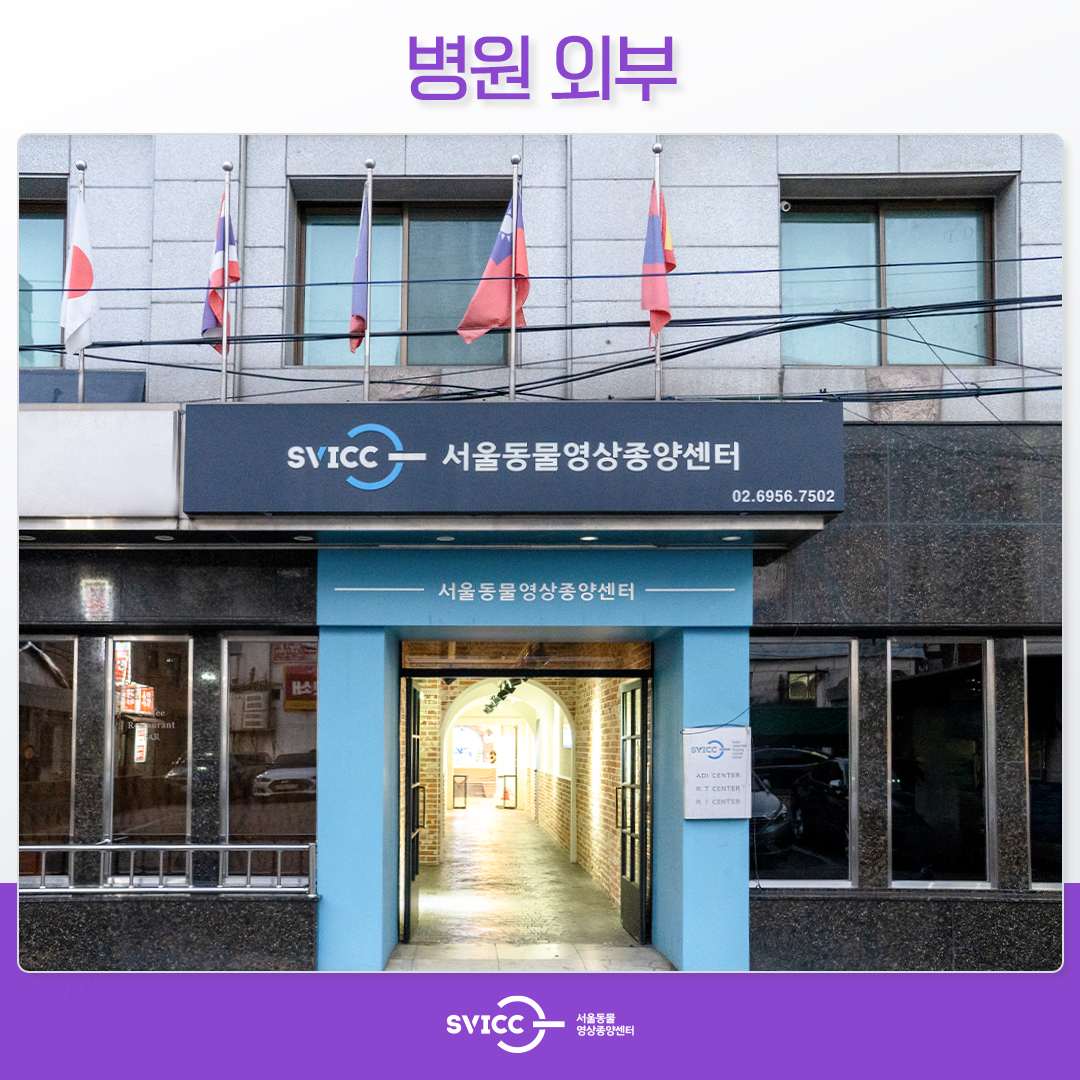 서울동물영상종양센터 대표 이미지