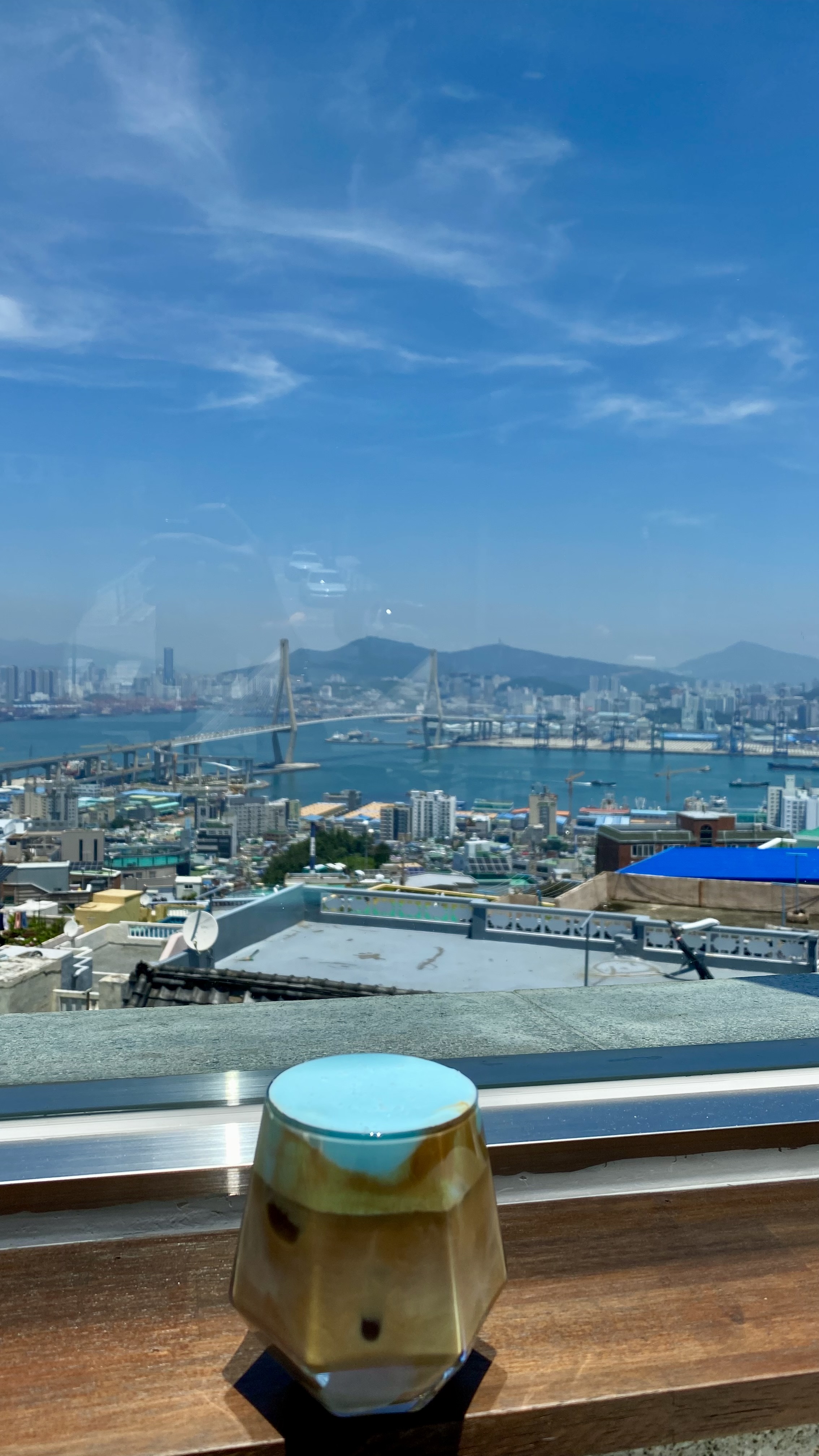알지비 반려동물 동반 애견카페