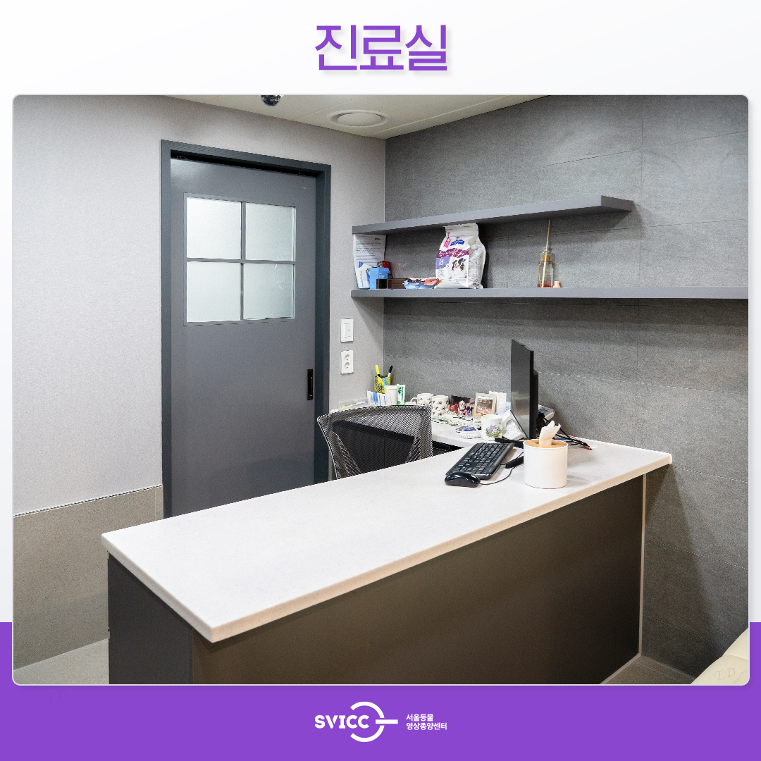 서울동물영상종양센터 대표 이미지