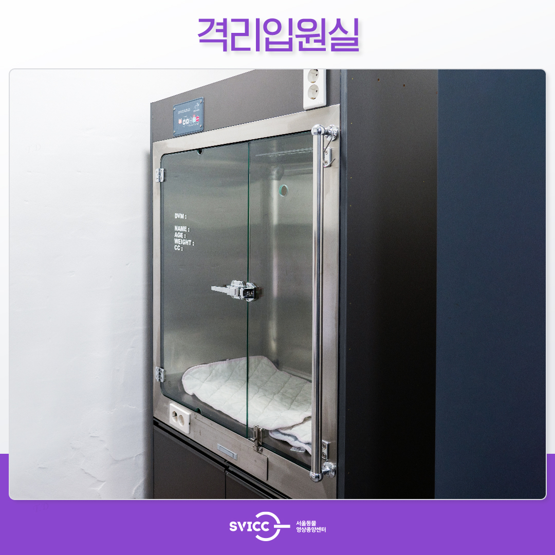 서울동물영상종양센터 대표 이미지