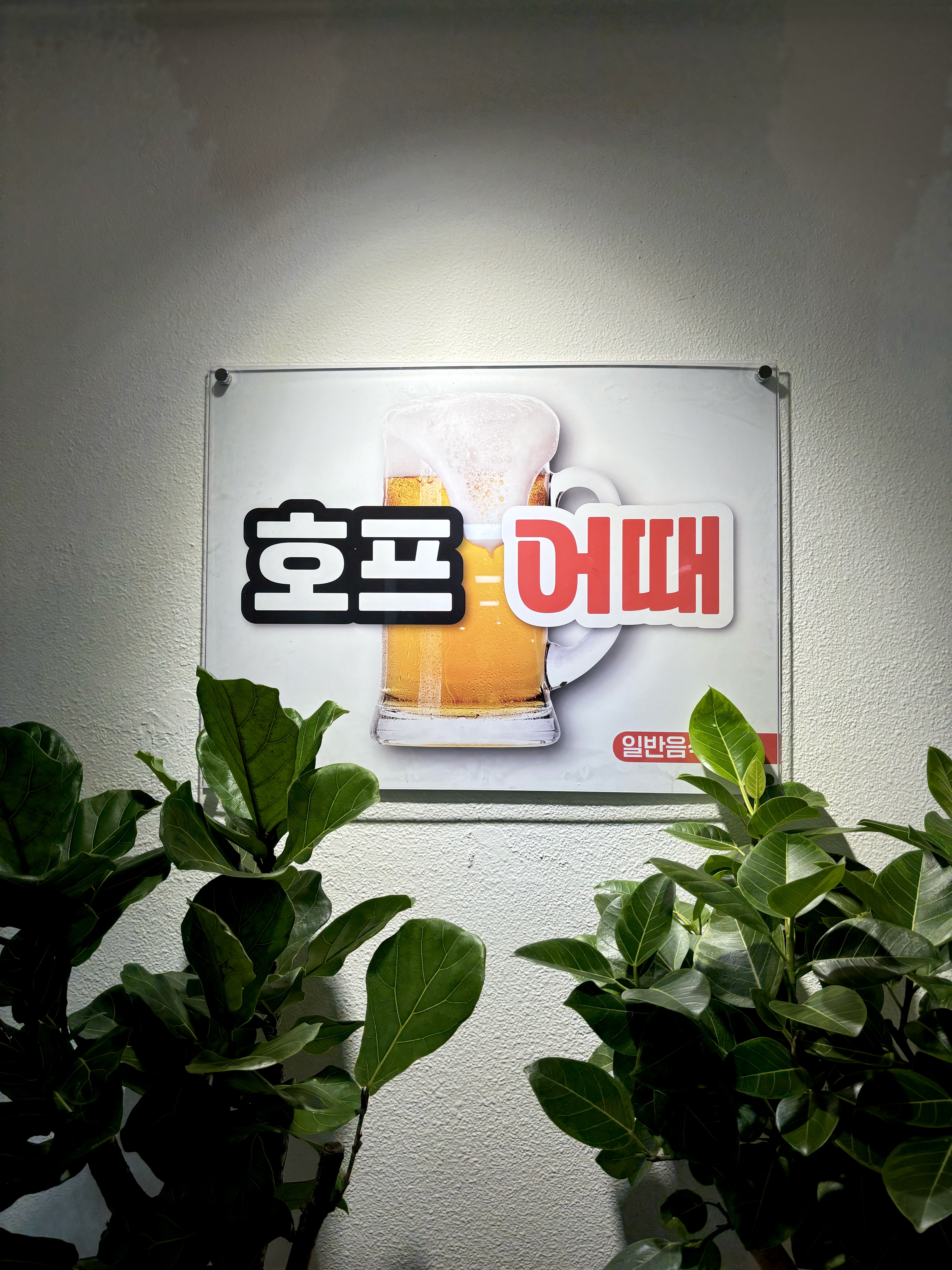 호프어때