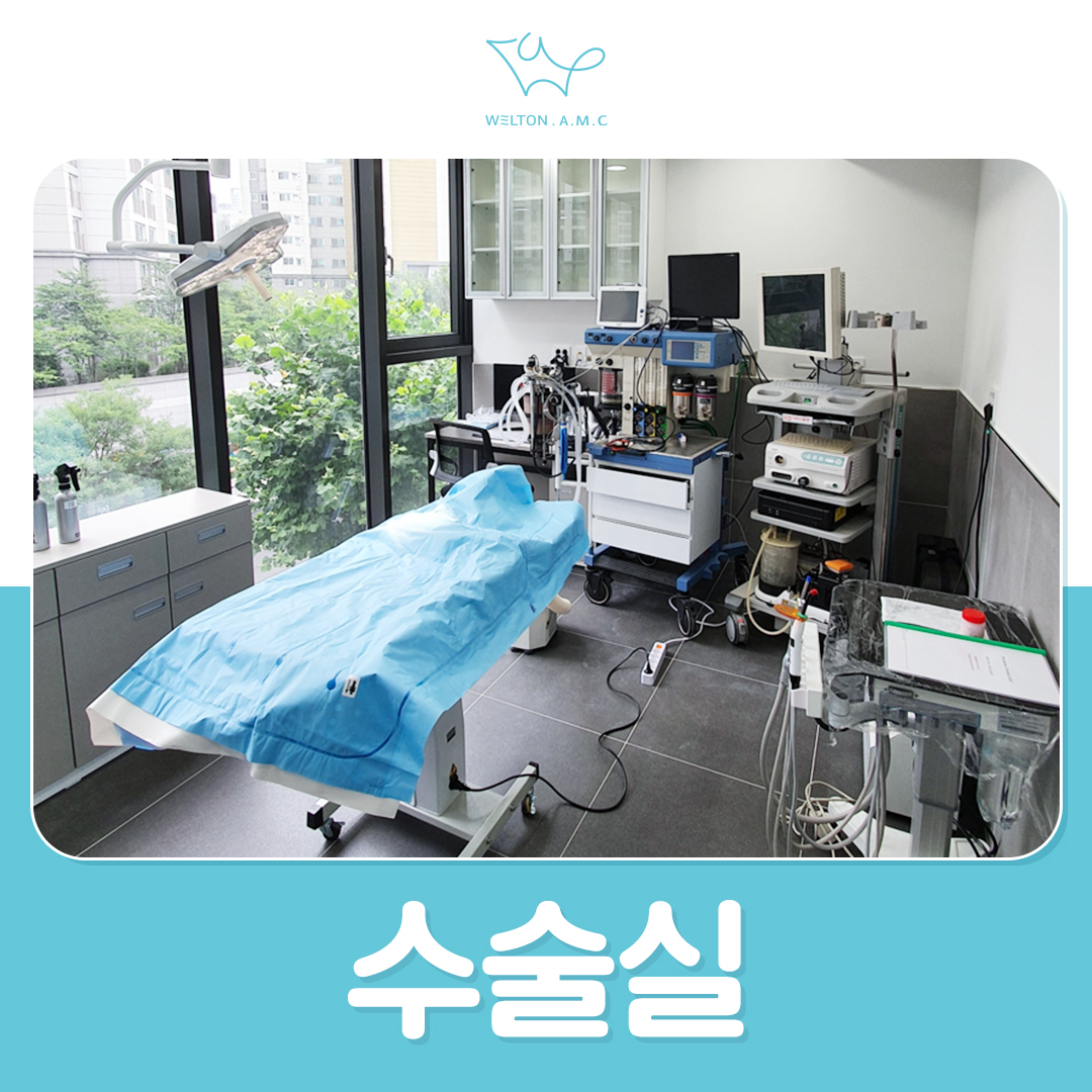웰튼동물의료센터 대표 이미지