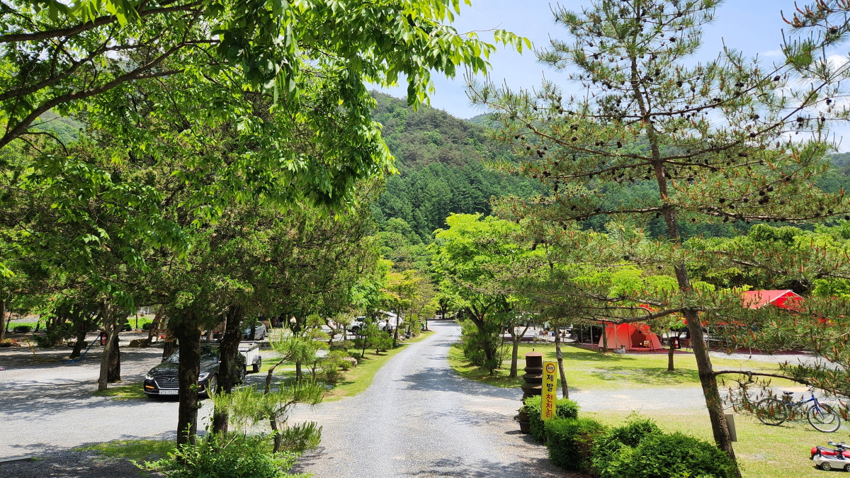 상우농장캠핑장