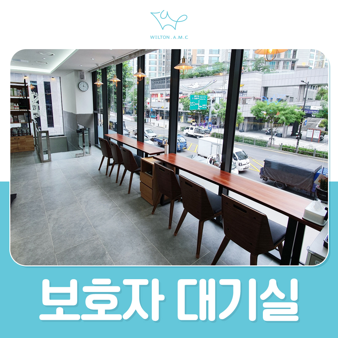 웰튼동물의료센터 대표 이미지