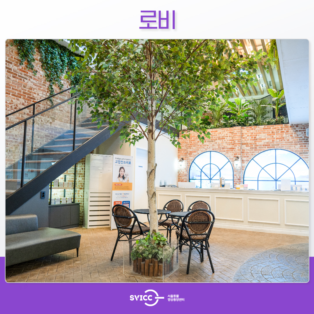 서울동물영상종양센터 대표 이미지