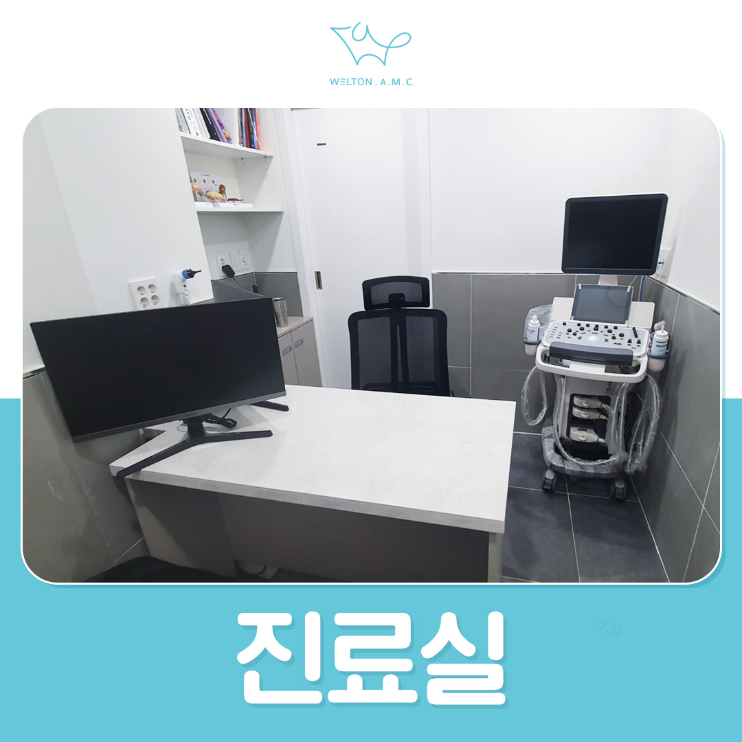 웰튼동물의료센터 대표 이미지