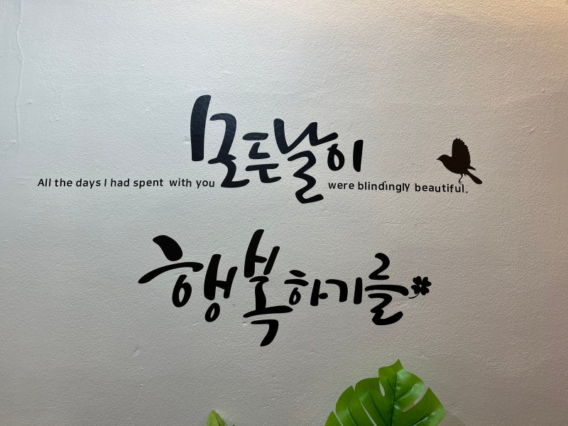 나무사주타로