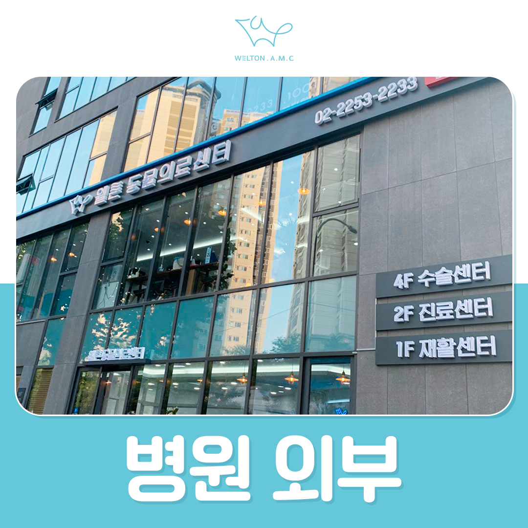 웰튼동물의료센터 대표 이미지