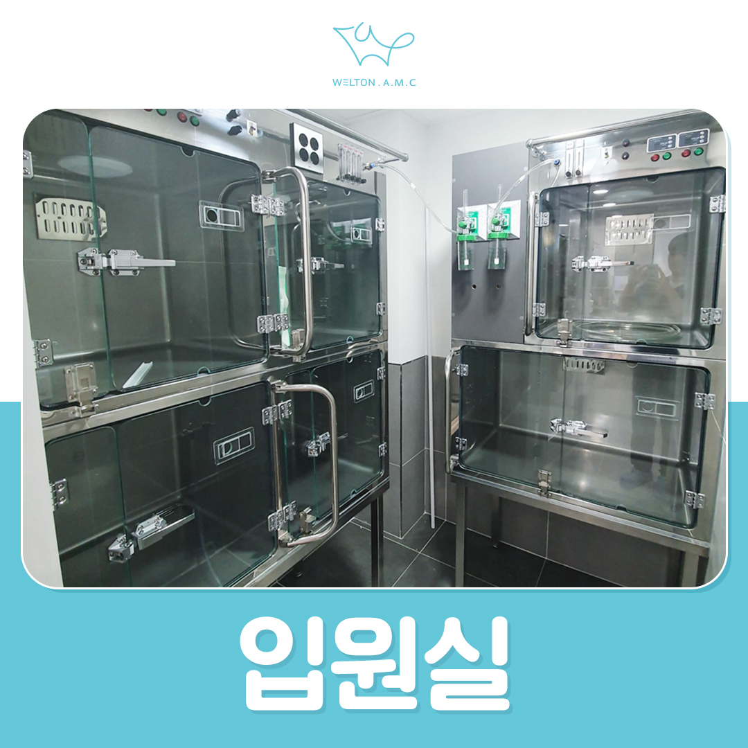 웰튼동물의료센터 대표 이미지