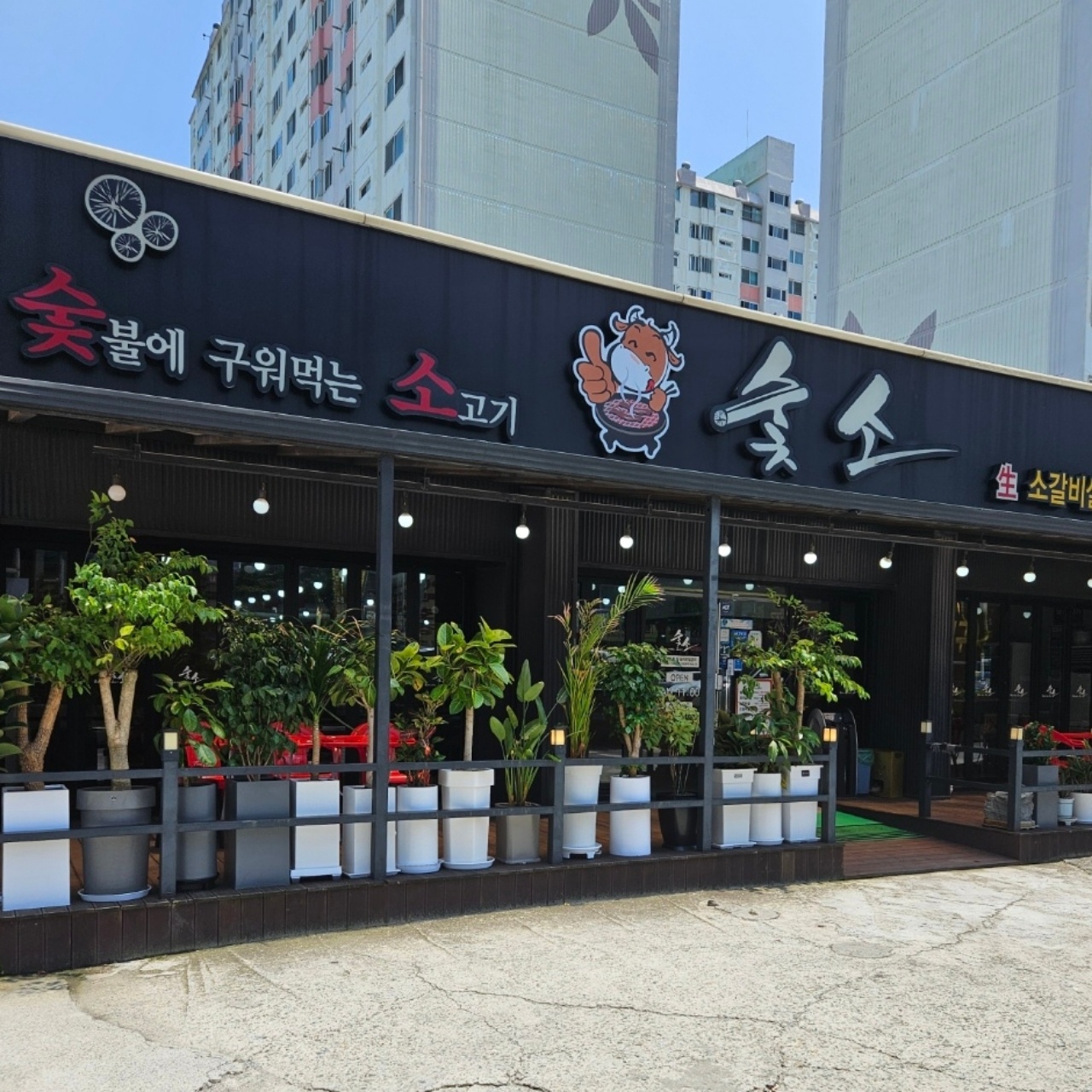 숯소 국동점