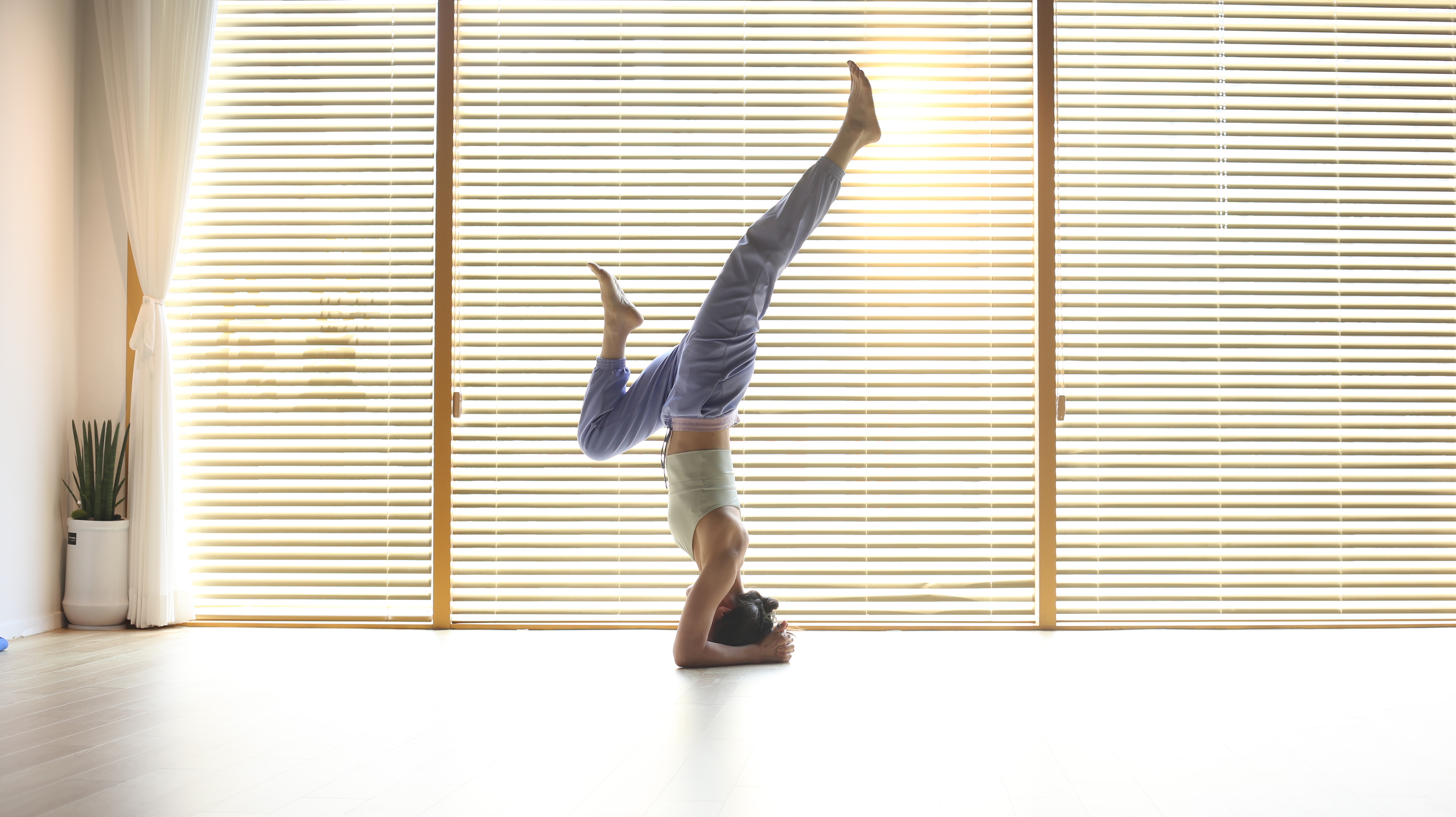 선정요가 대표 이미지