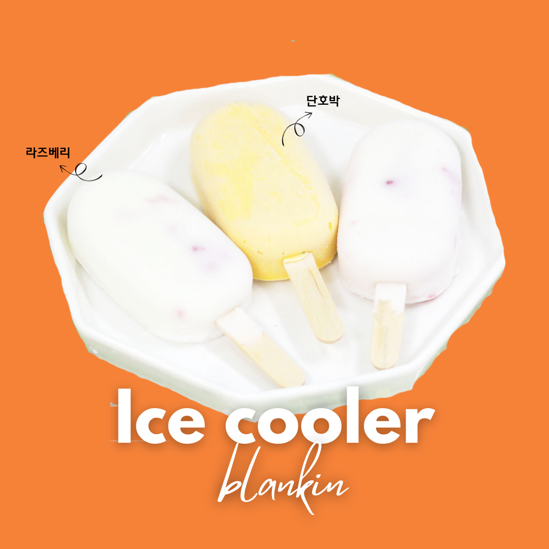 블랭크인