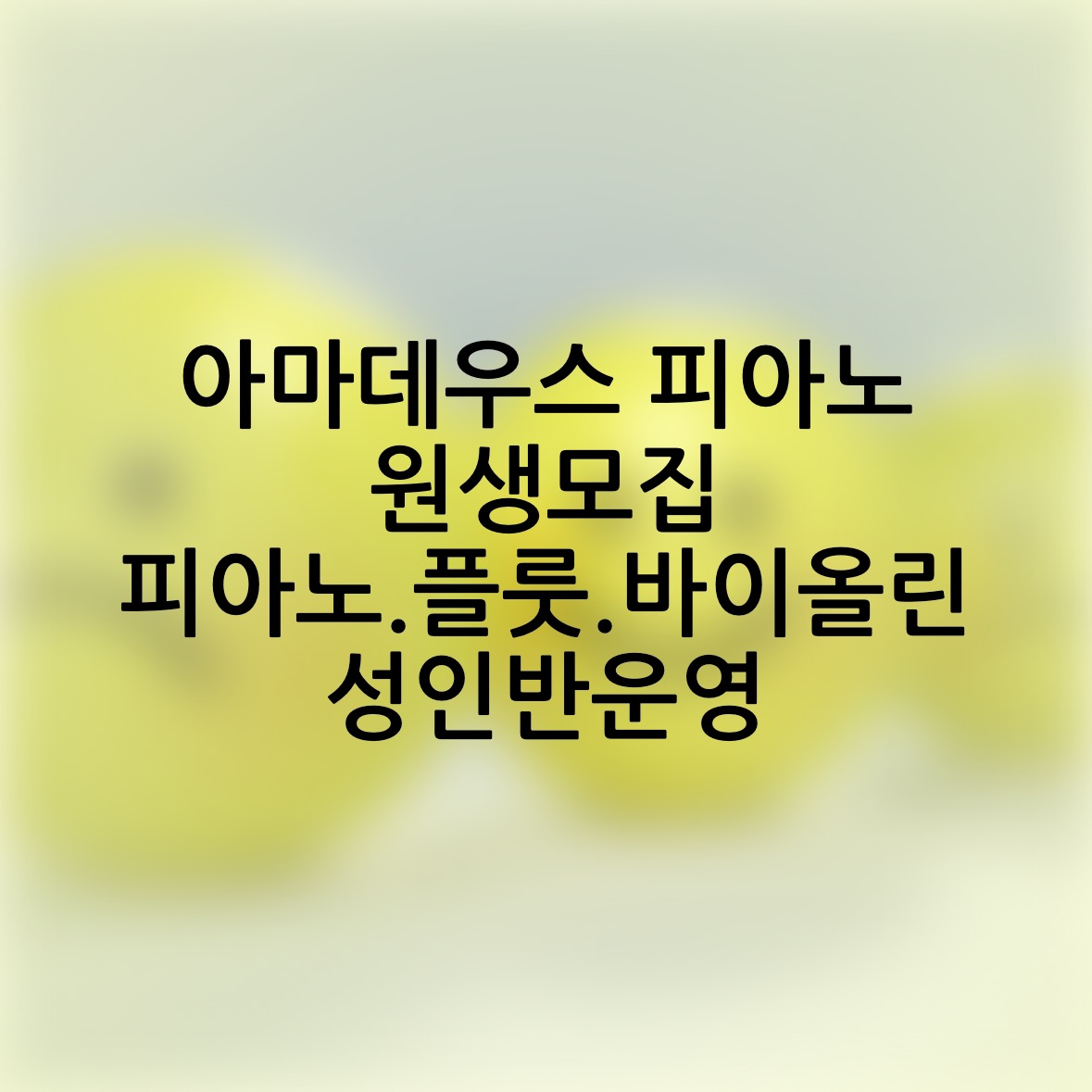 아마데우스음악학원
