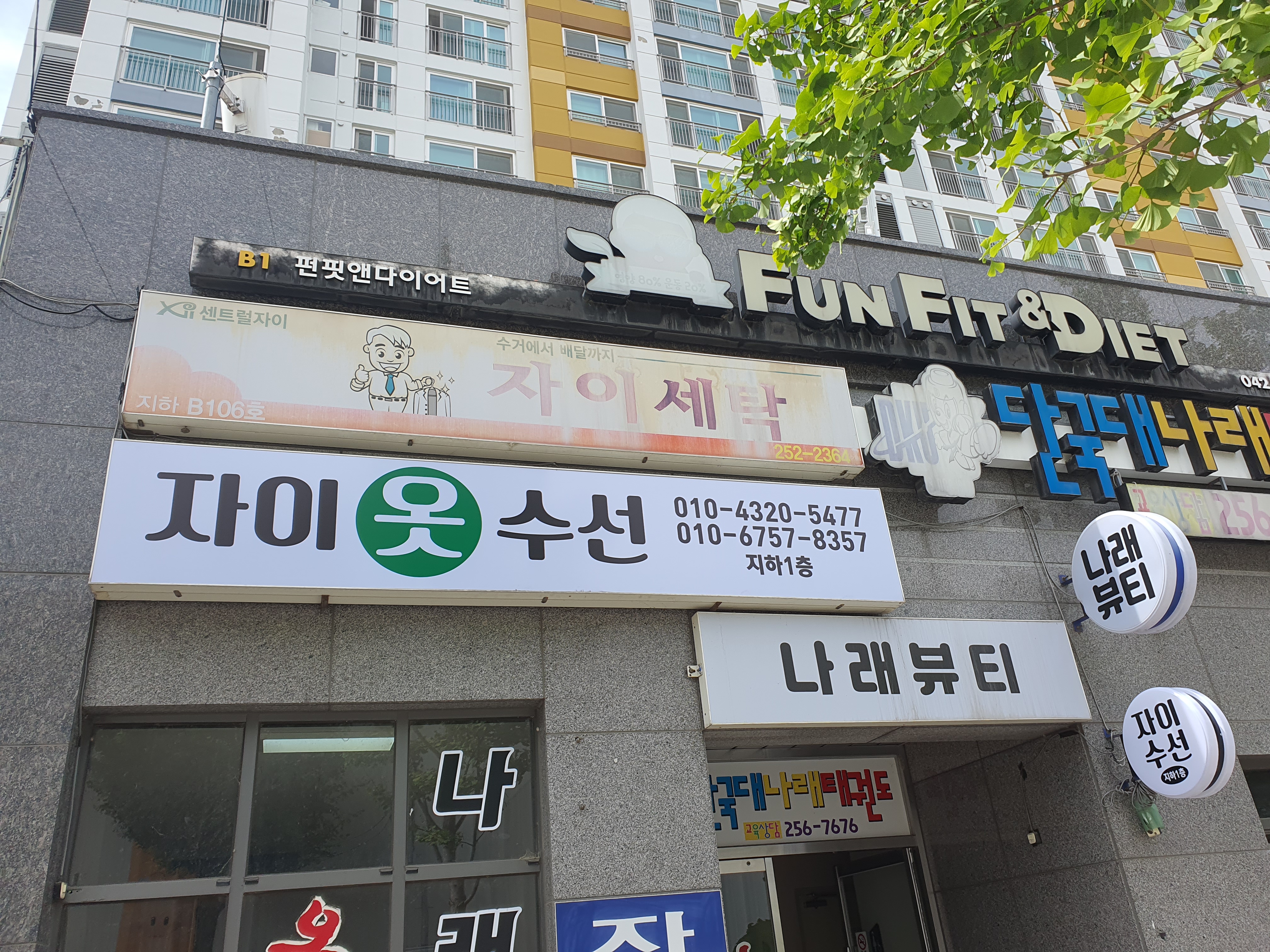 자이수선