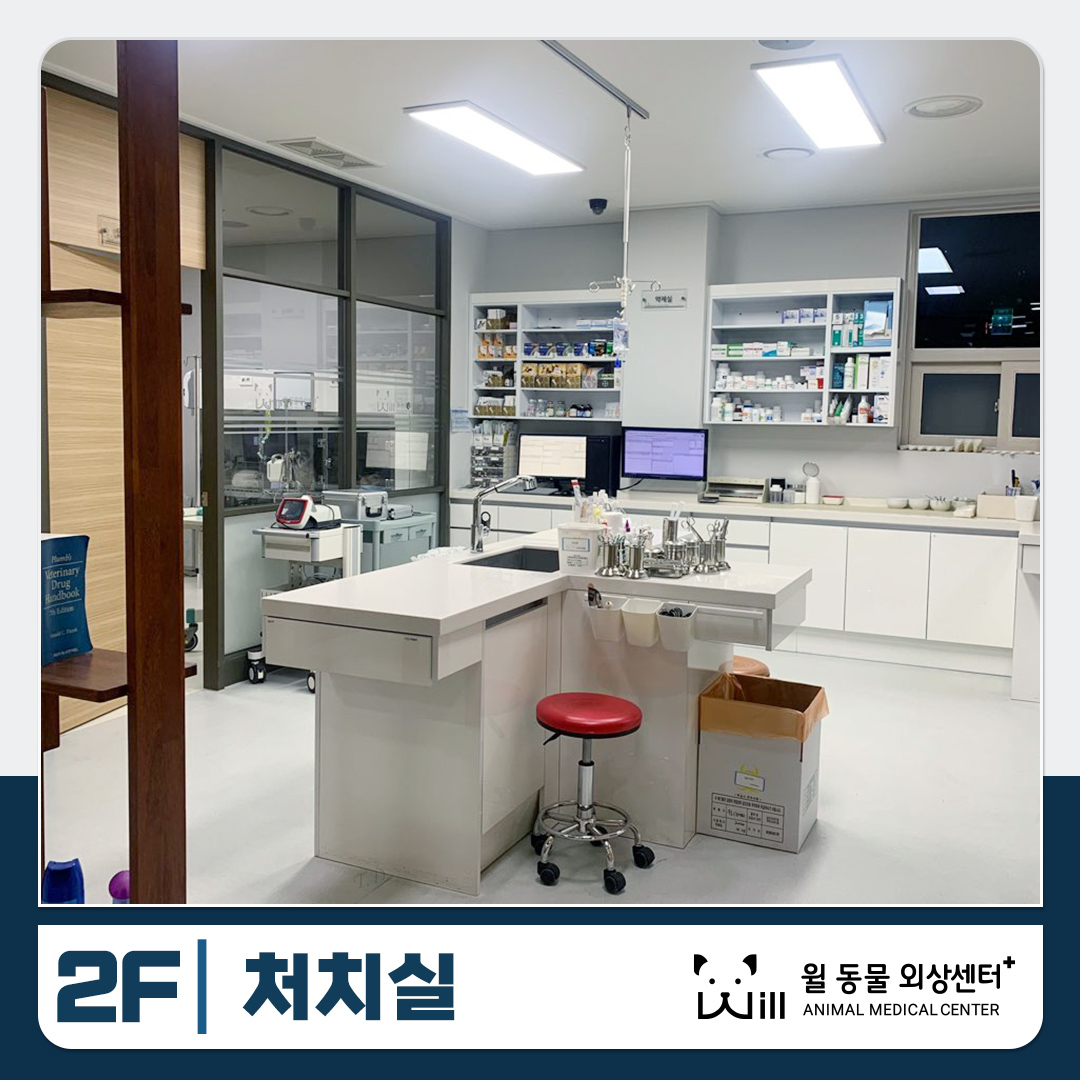 윌 동물외상센터 대표 이미지
