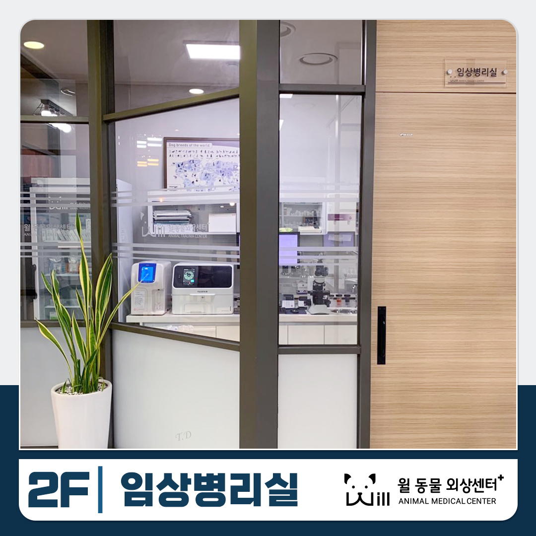 윌 동물외상센터 대표 이미지