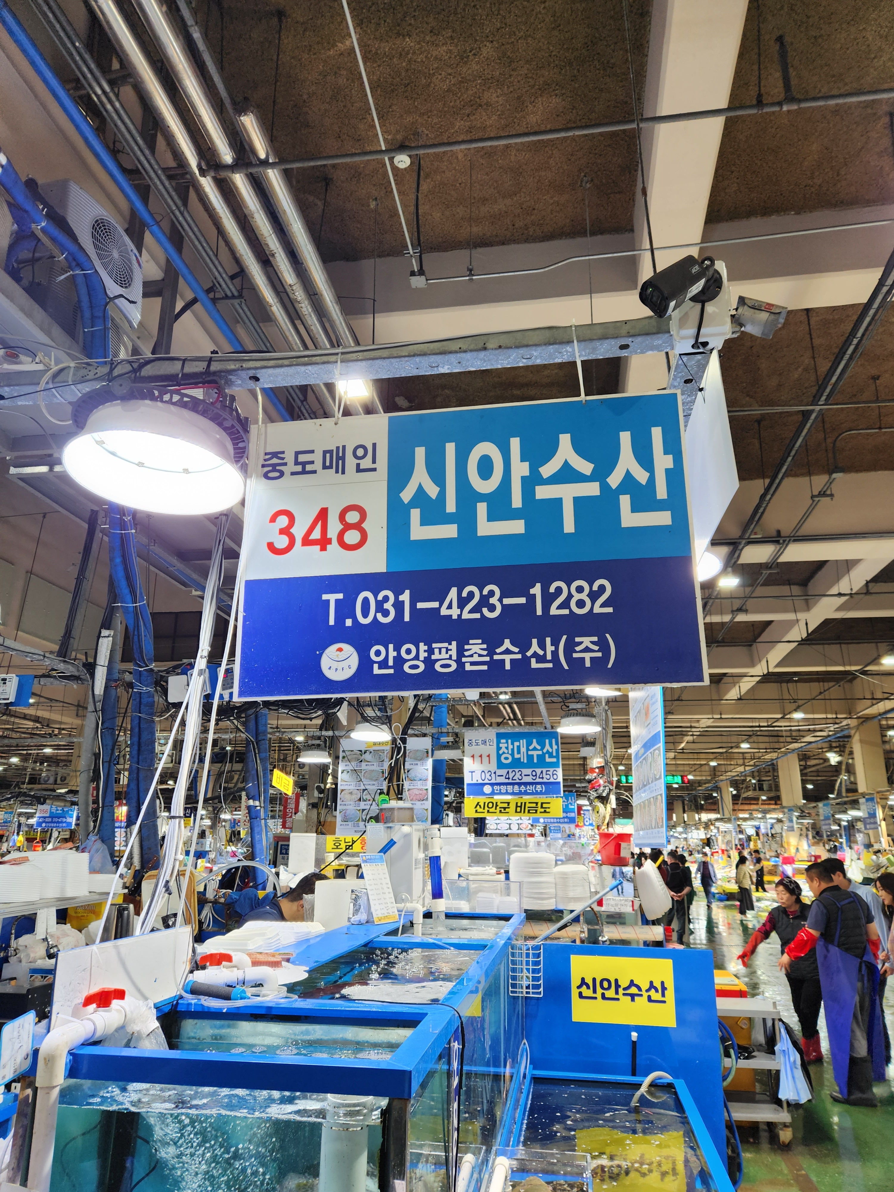 신안수산