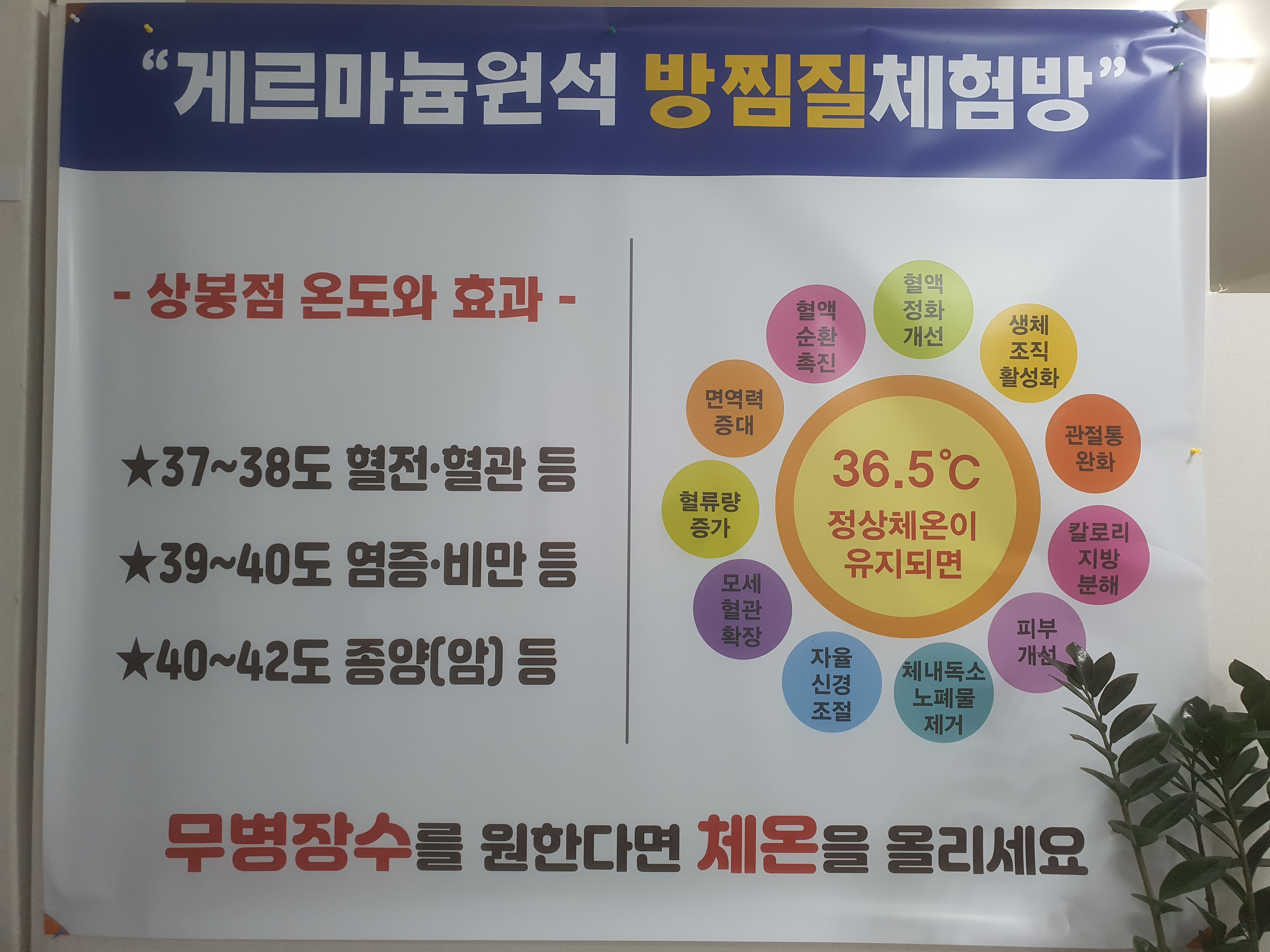 겔마미라클 첨단점 가호방