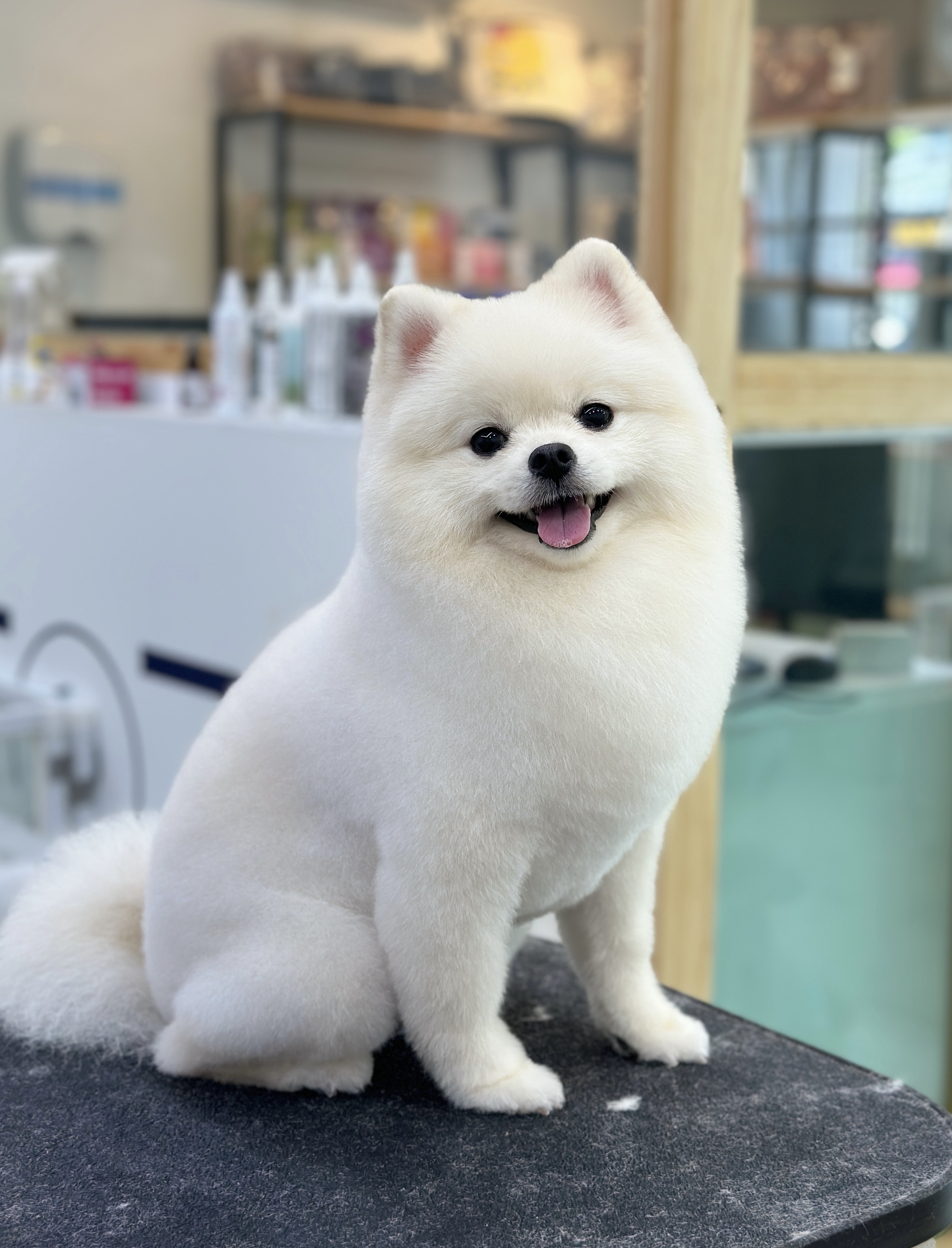 간지나개 대표 이미지