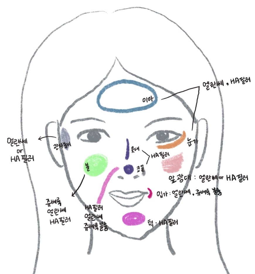 필보레의원 대전유성