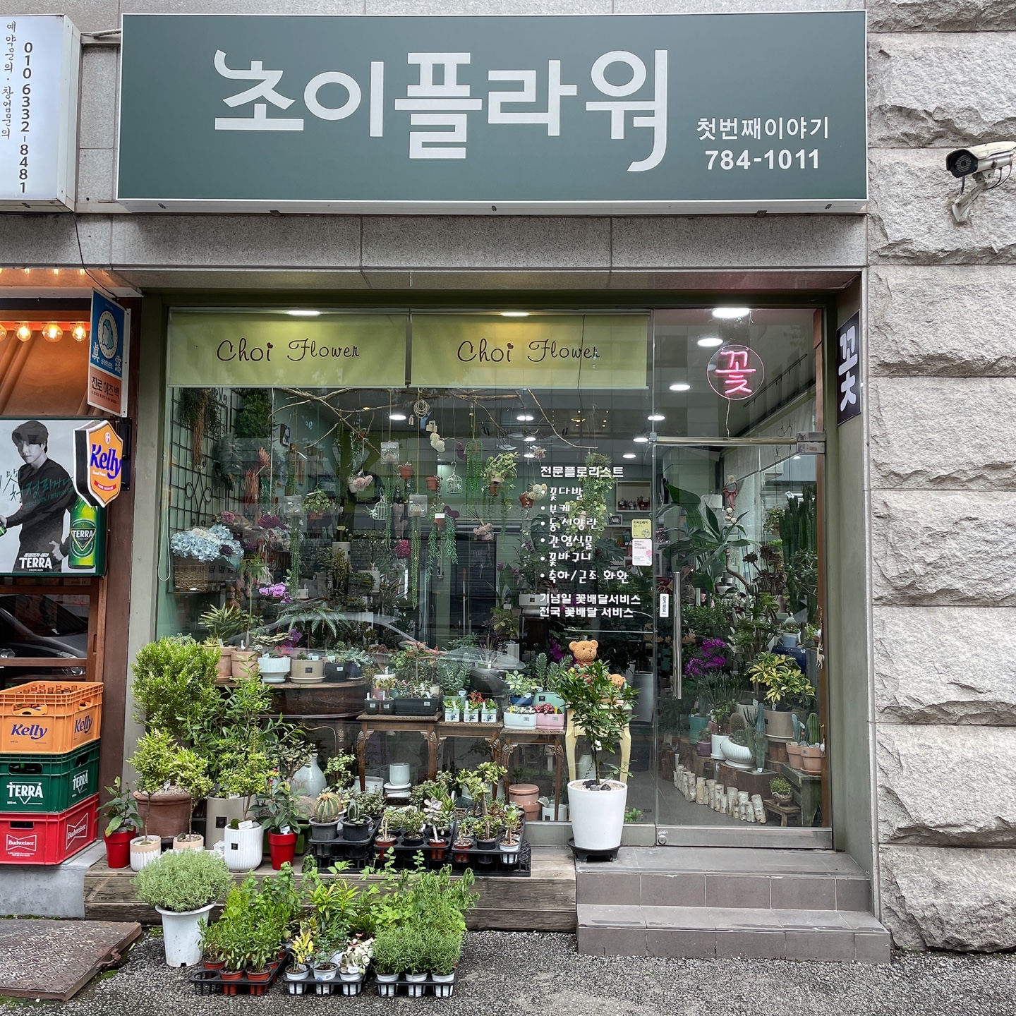 초이플라워