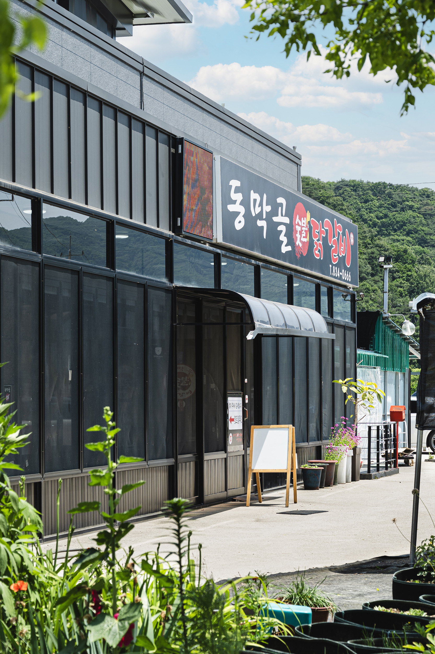 동막골 숯불닭갈비