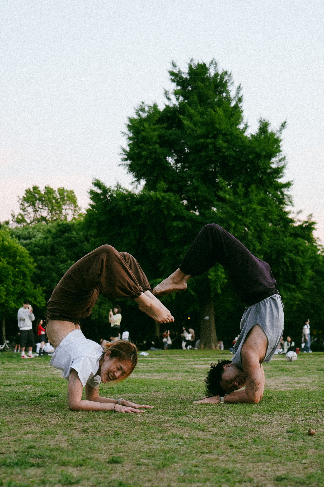 또,요가 대표 이미지
