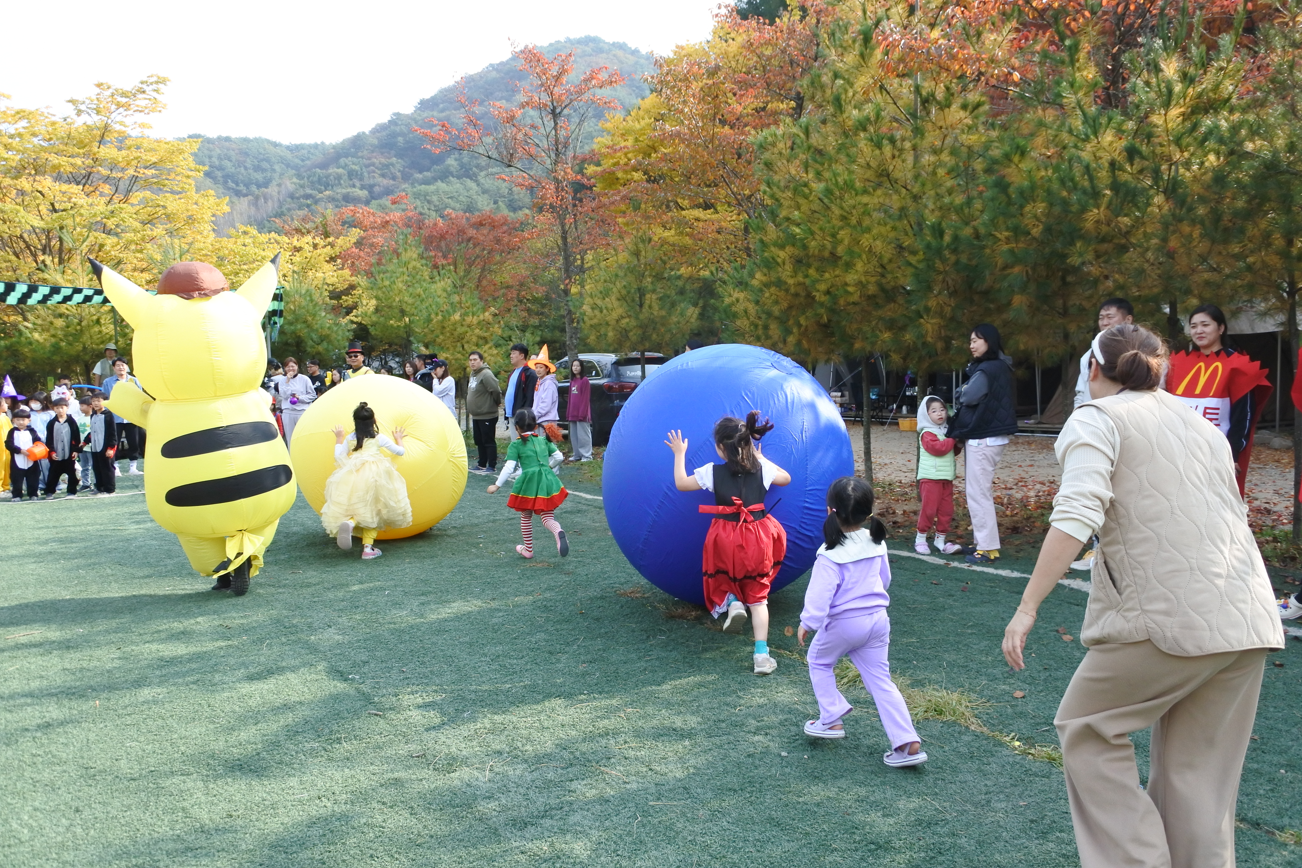 강원도힐링캠핑장 대표 이미지