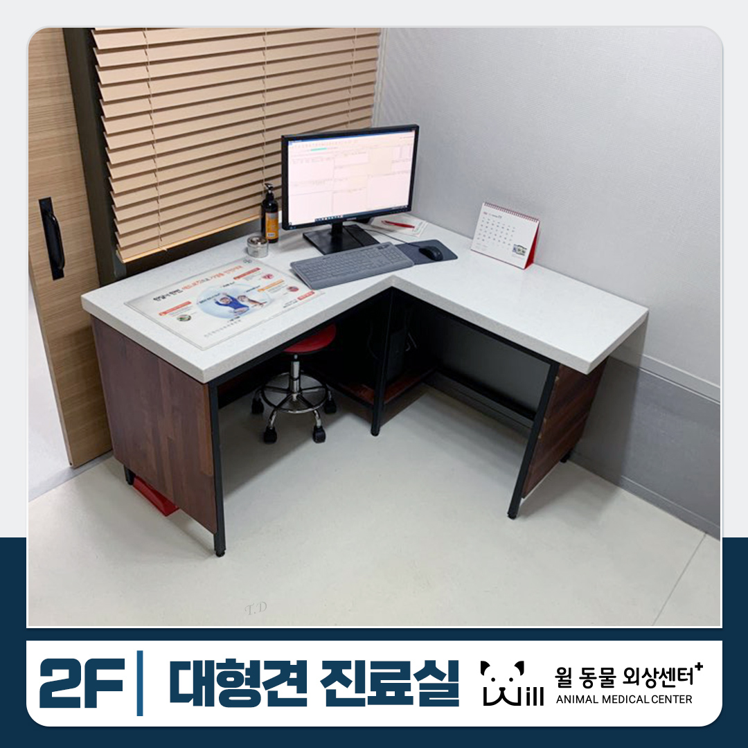 윌 동물외상센터 대표 이미지