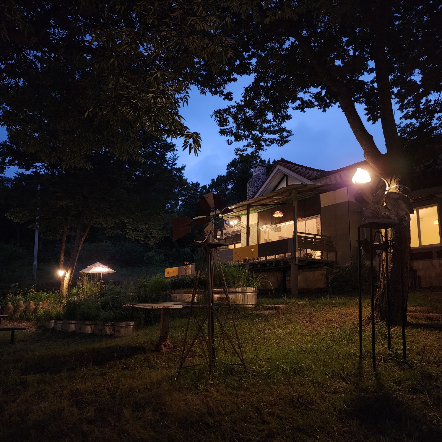 포어레스트 대표 이미지