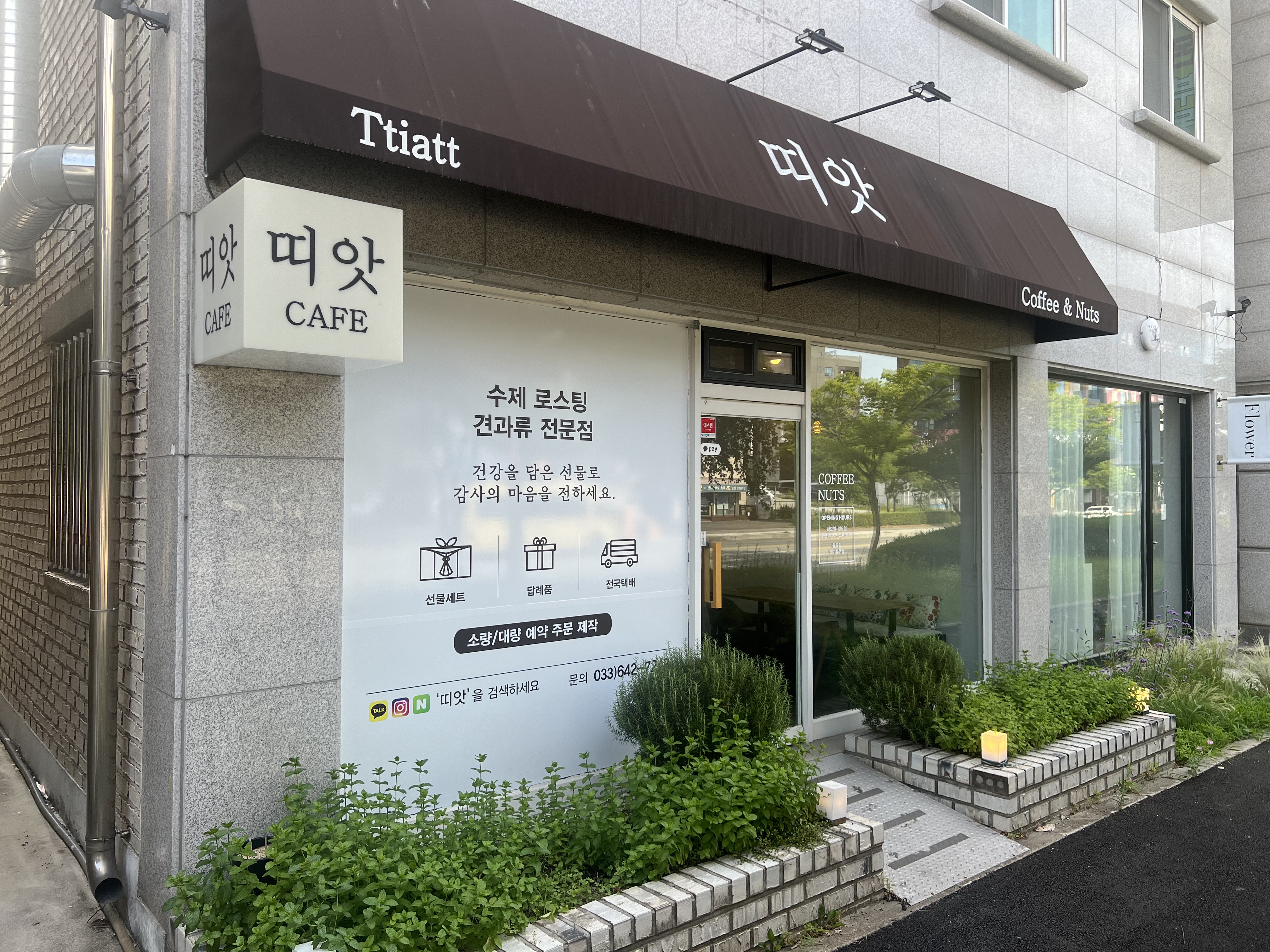 띠앗