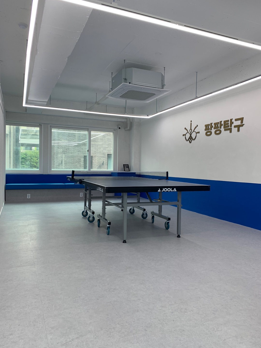 팡팡탁구