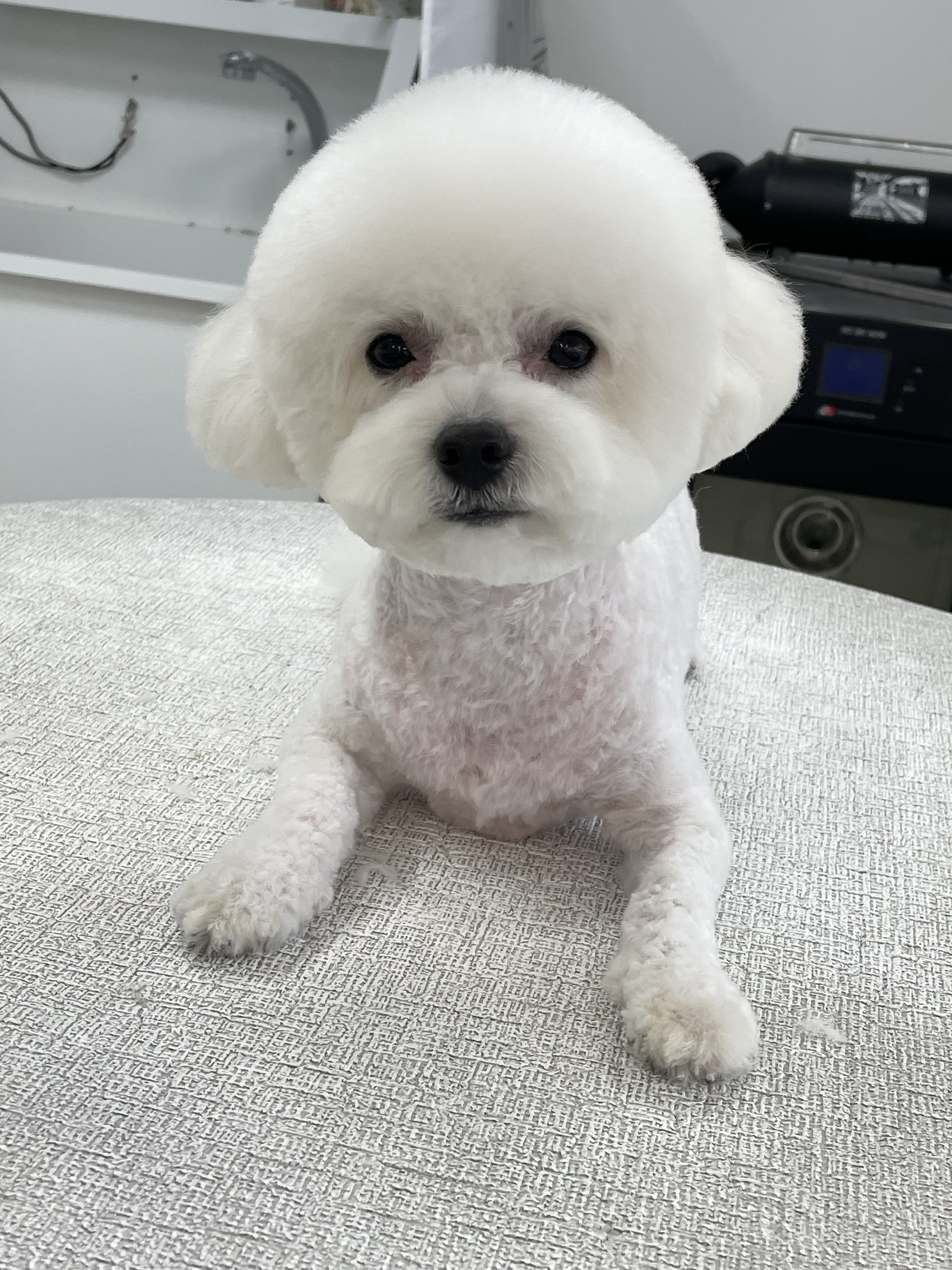 펫테리 경상 애견숙소