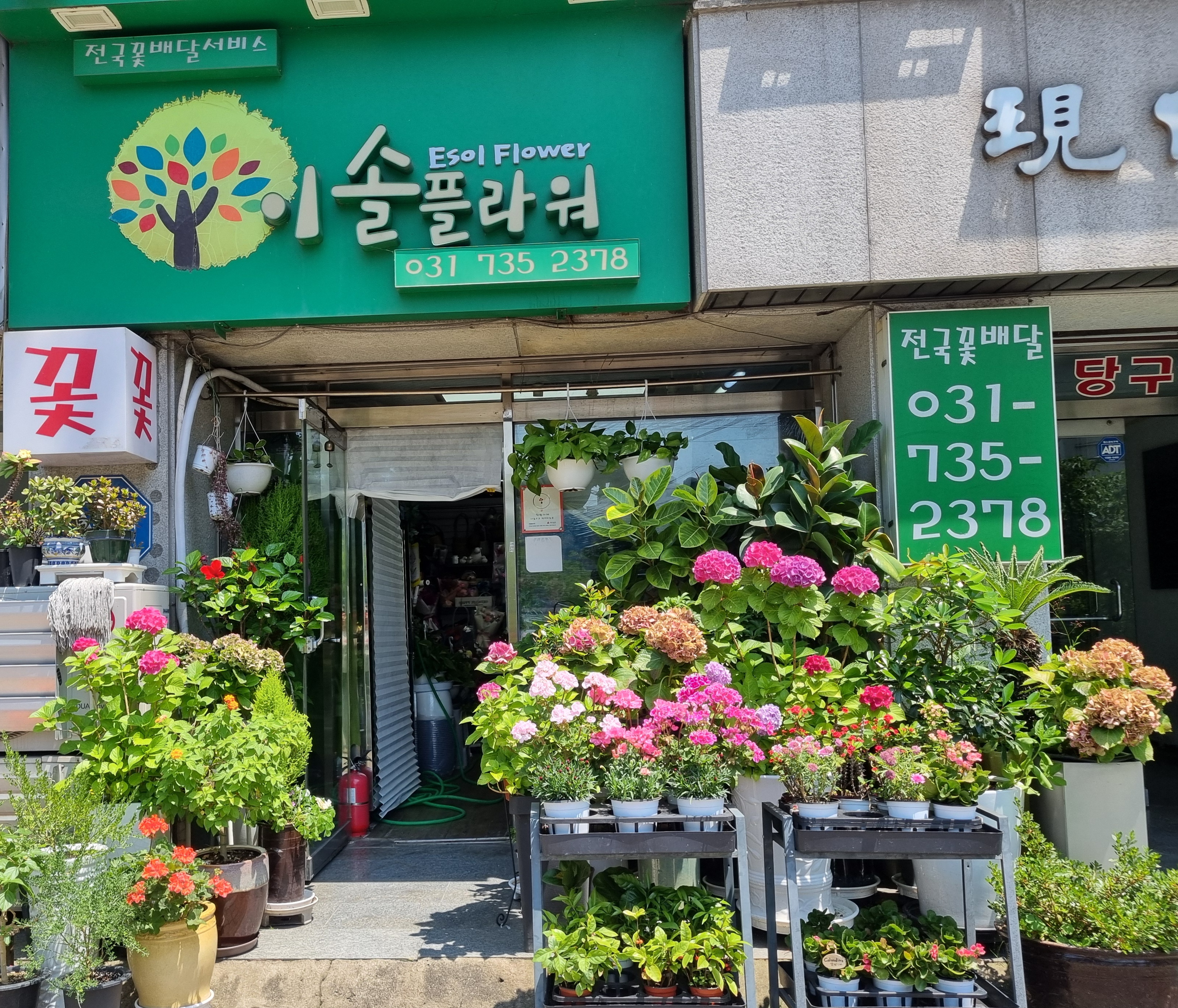 이솔플라워