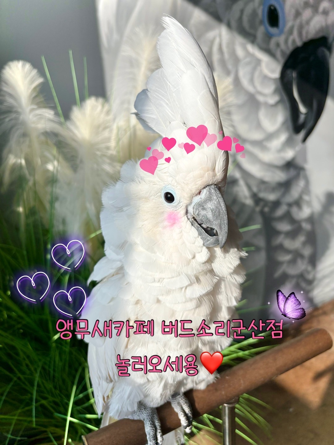 버드소리 군산점