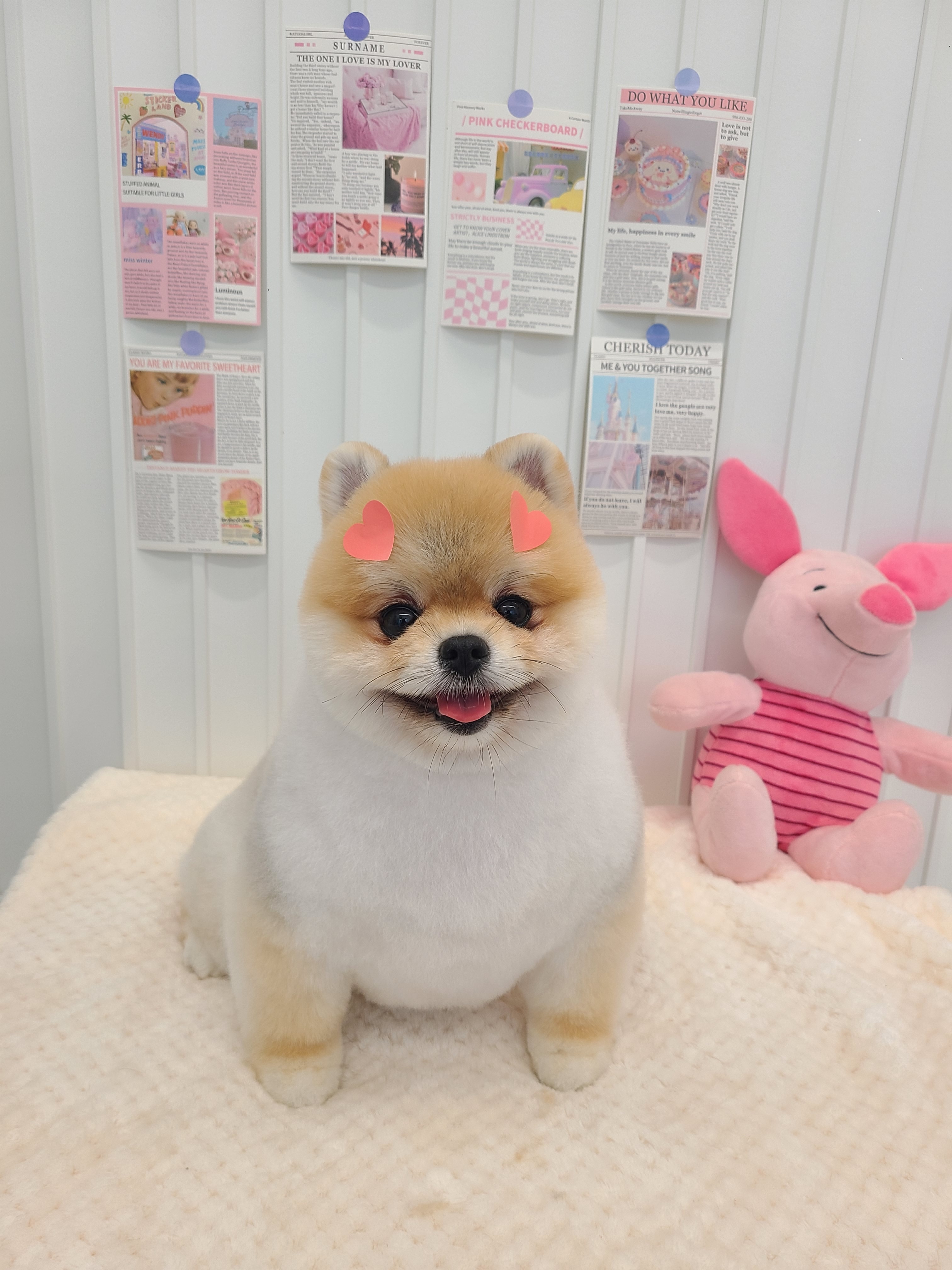 꾸미개 대표 이미지