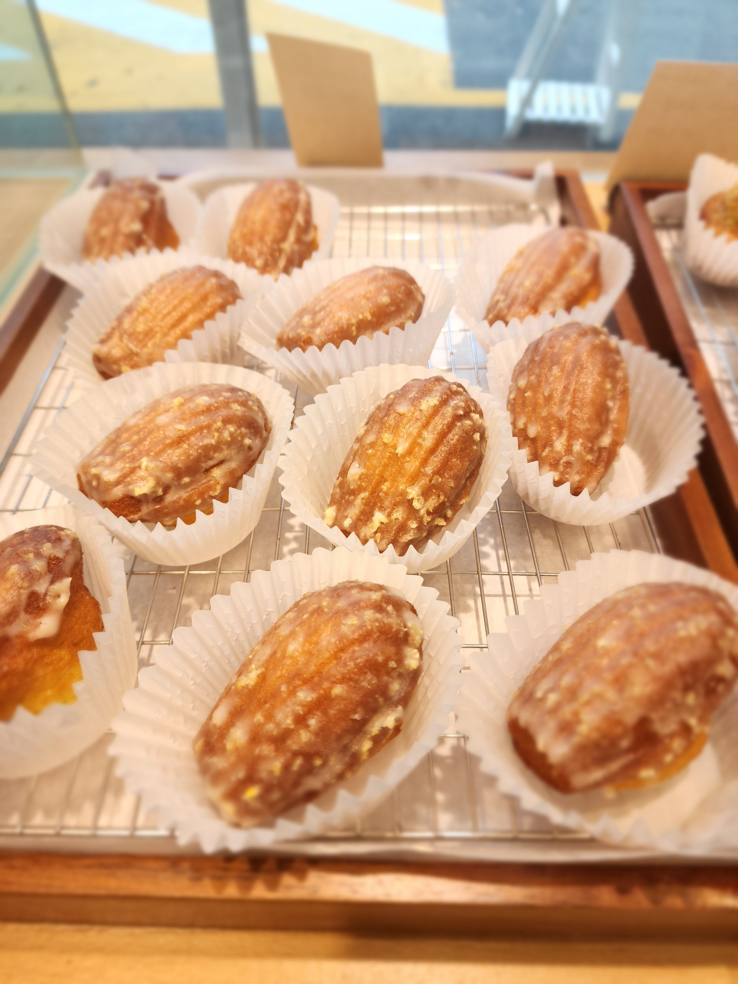 빌데꼬빵