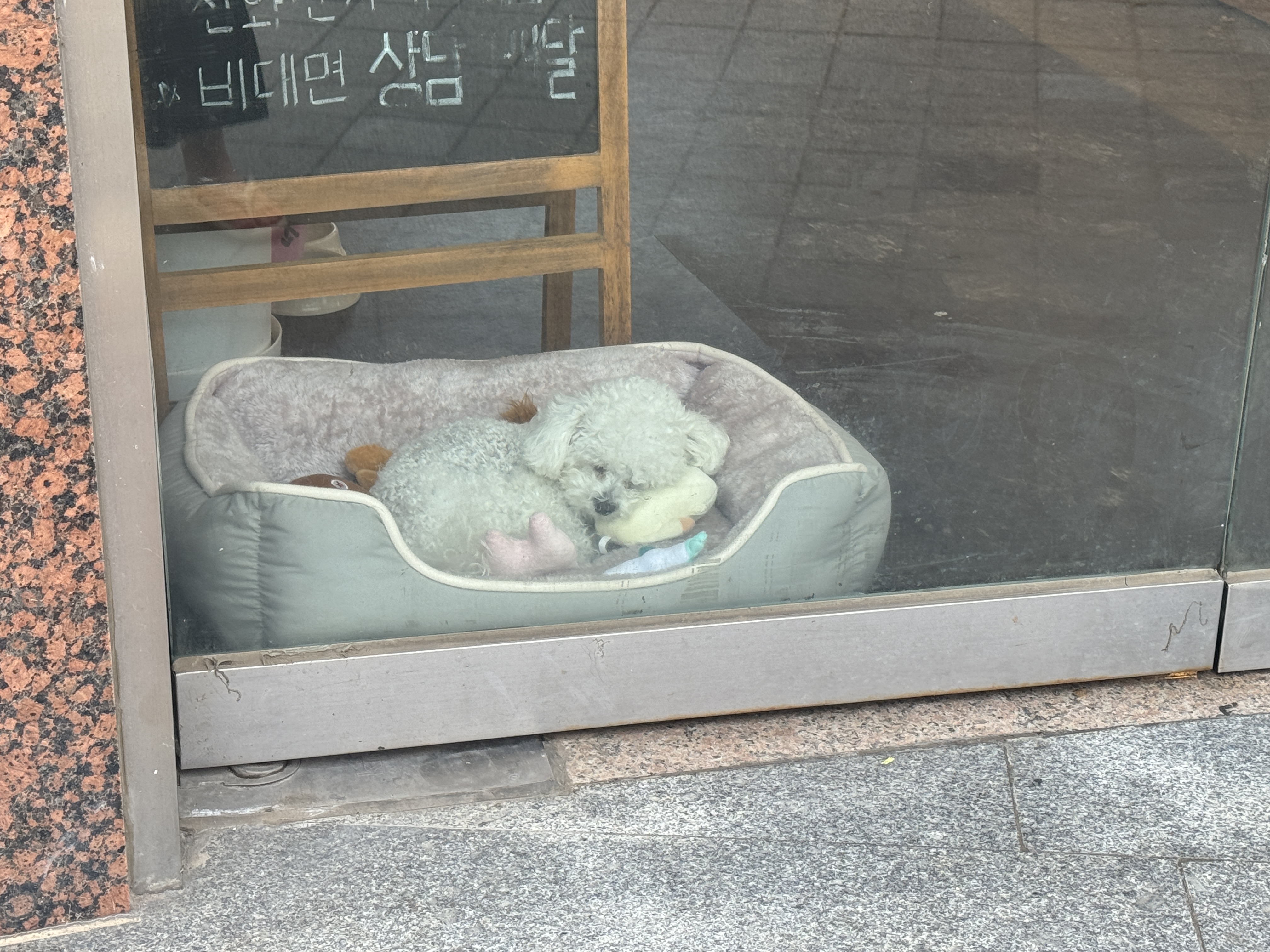 붐베이프