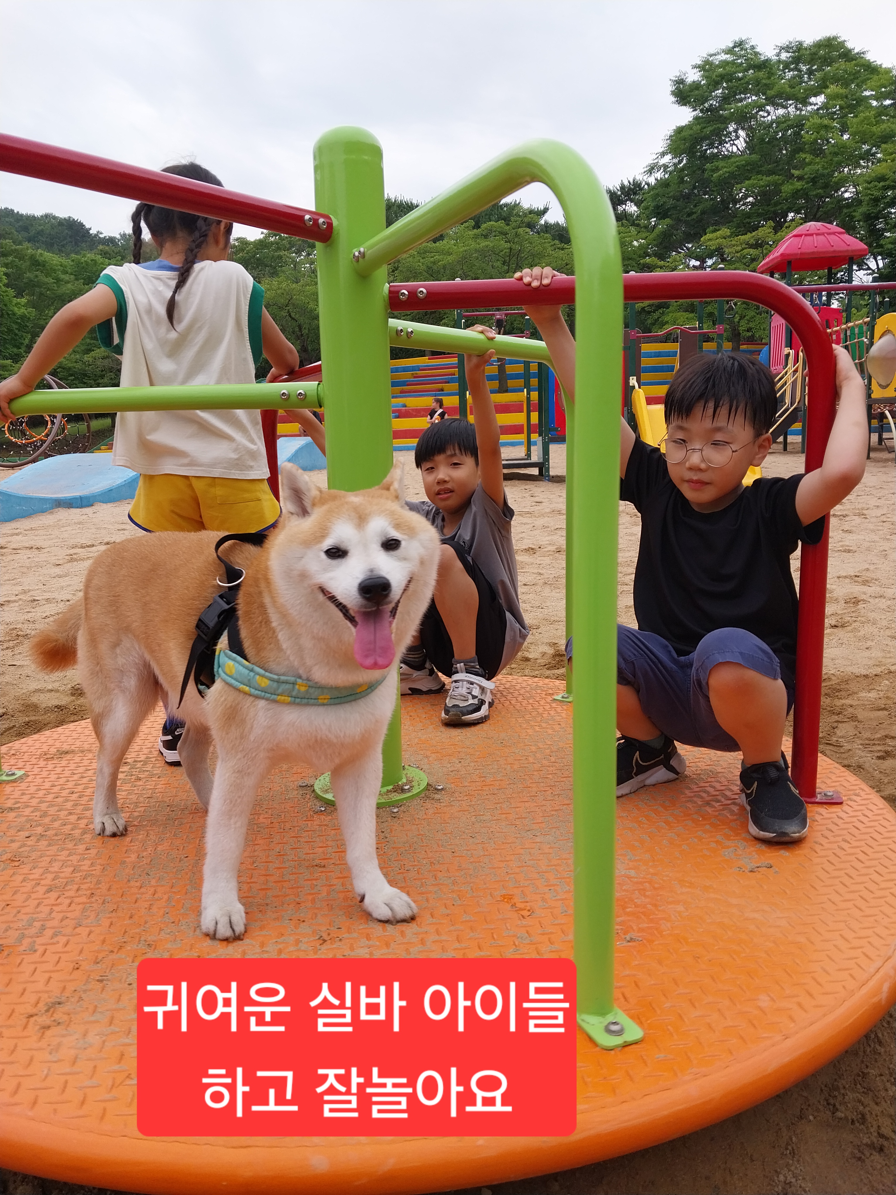 프로옷수선