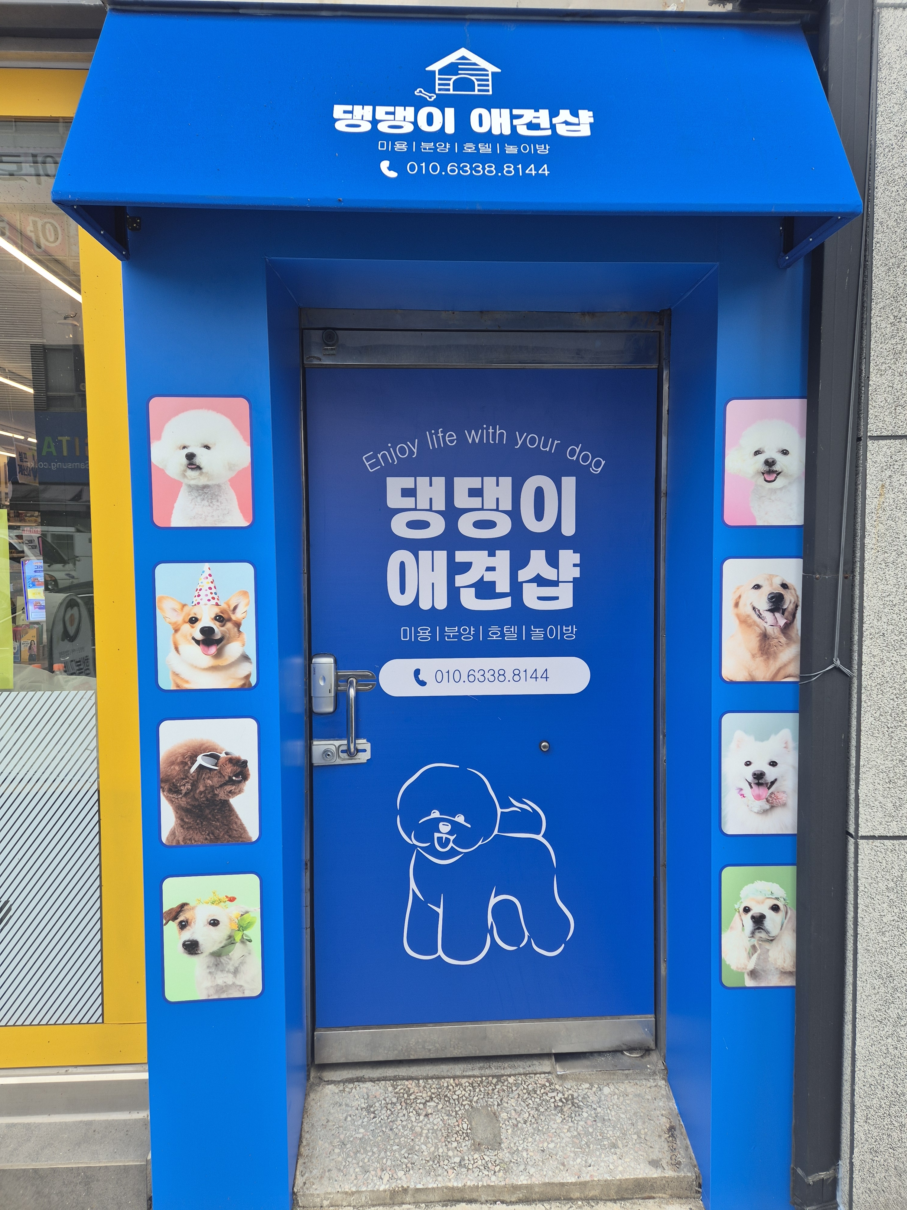 댕댕이애견샵