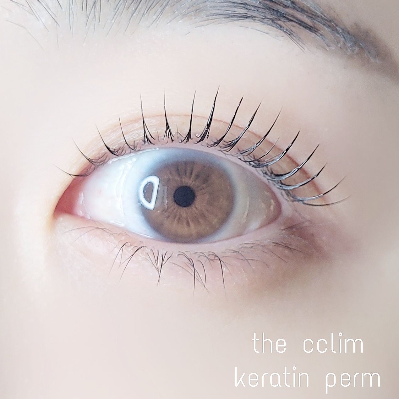 더끌림 대표 이미지