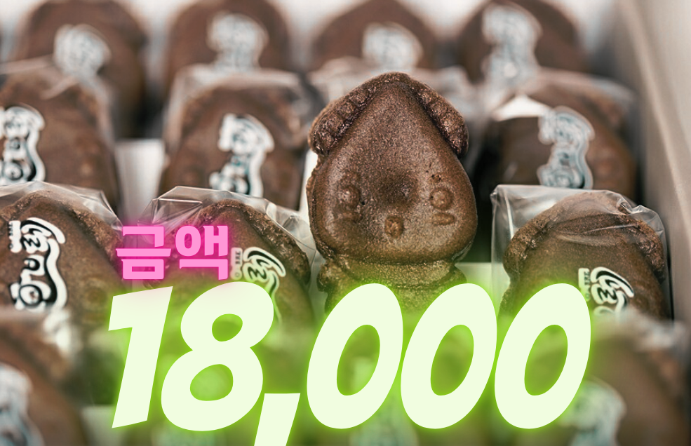 오브레 울릉도점 반려동물 동반 애견카페