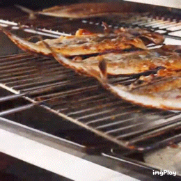 고삼이 합정직영점